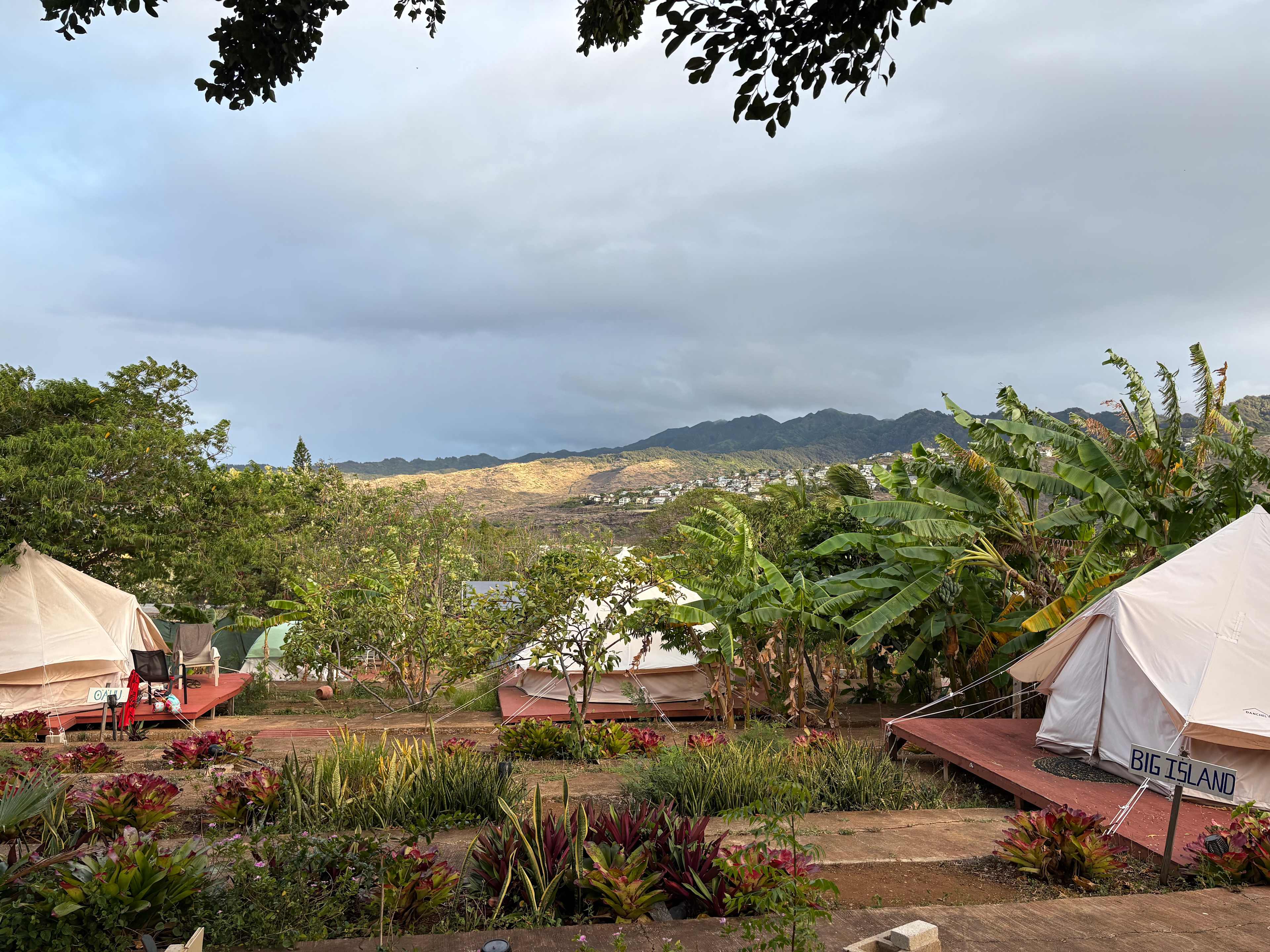 Sun Farm Hawaii @ Koko Head