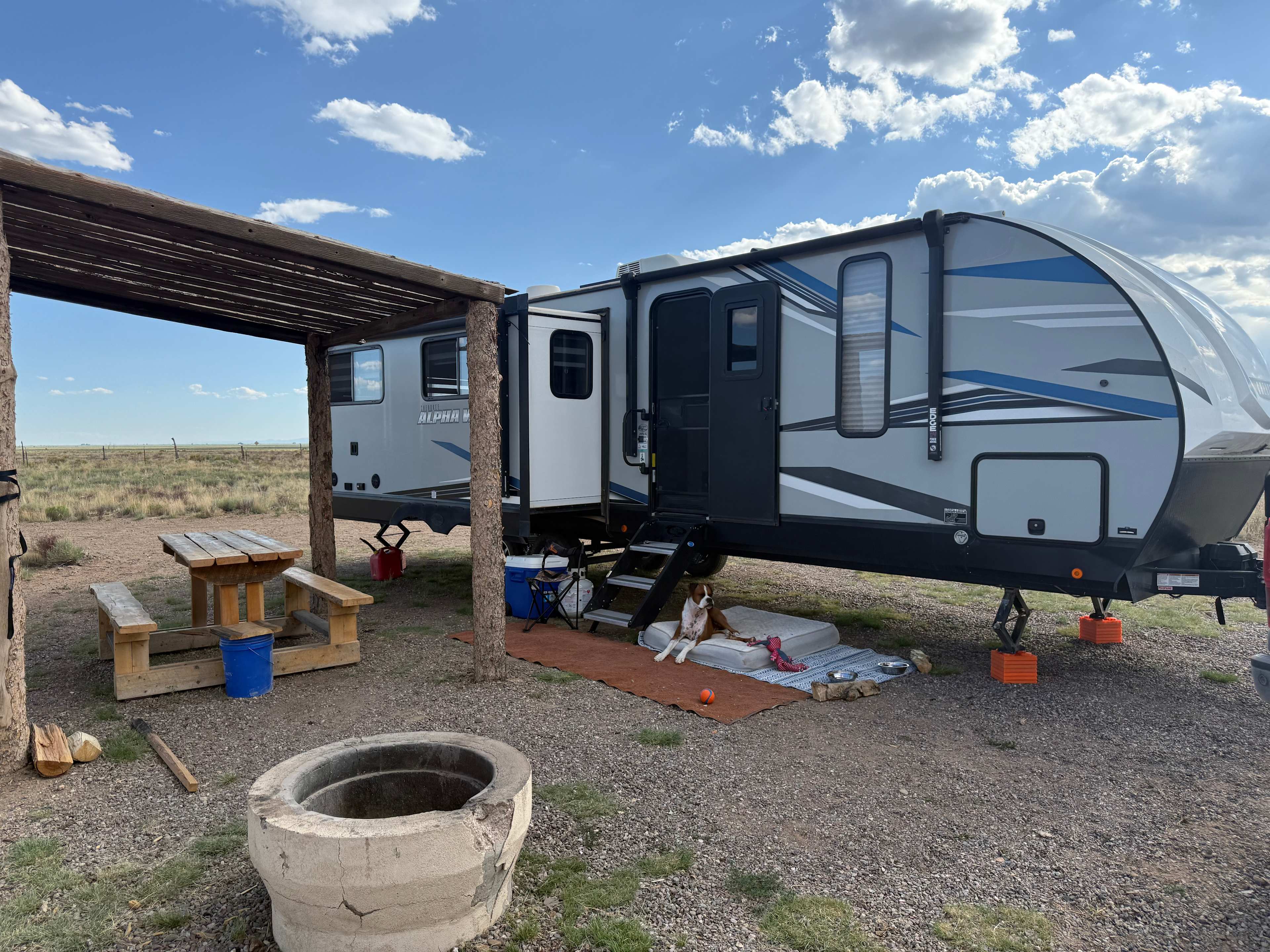 Mountain Bird Alpine Desert