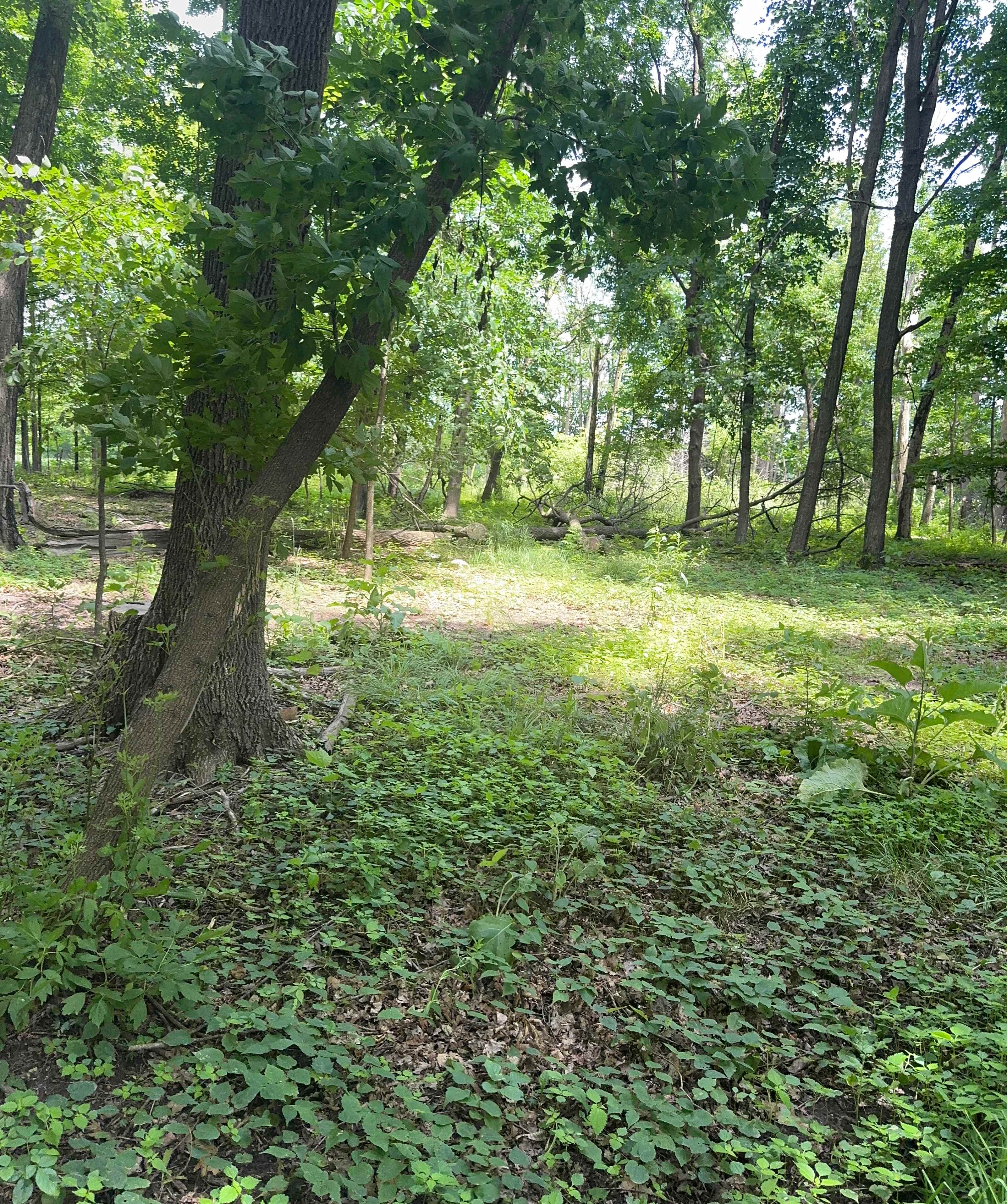 Bouressa Family Farm