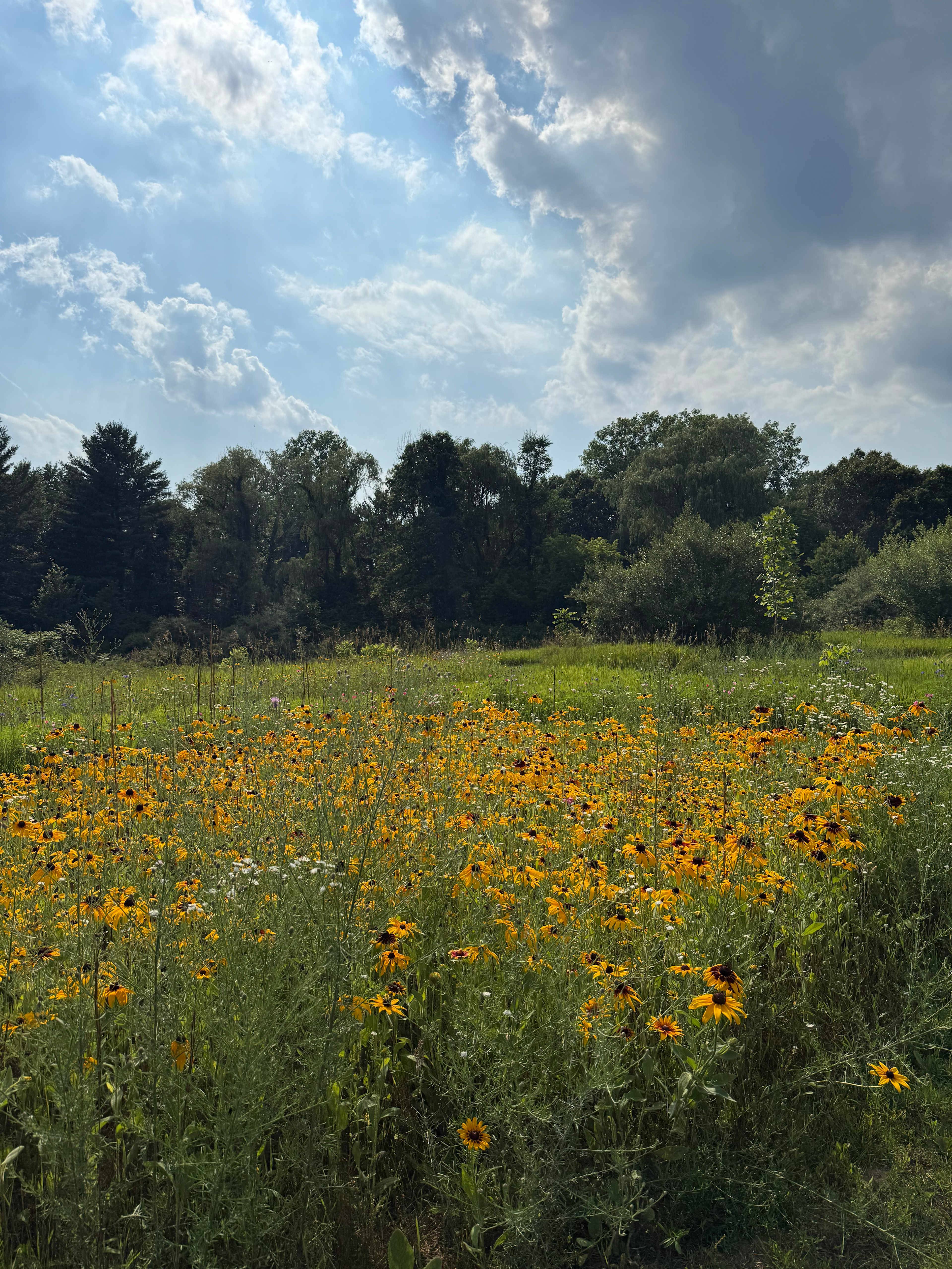 Sun Creek Farm