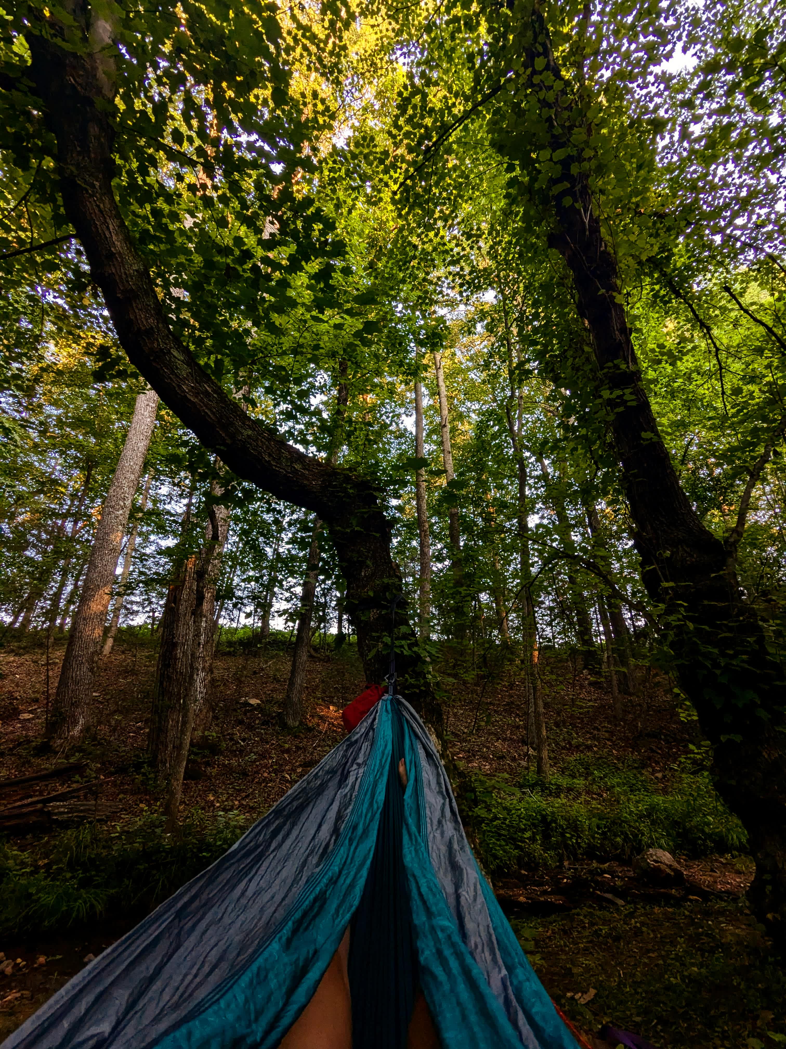 Field of Dreams Creek Camping