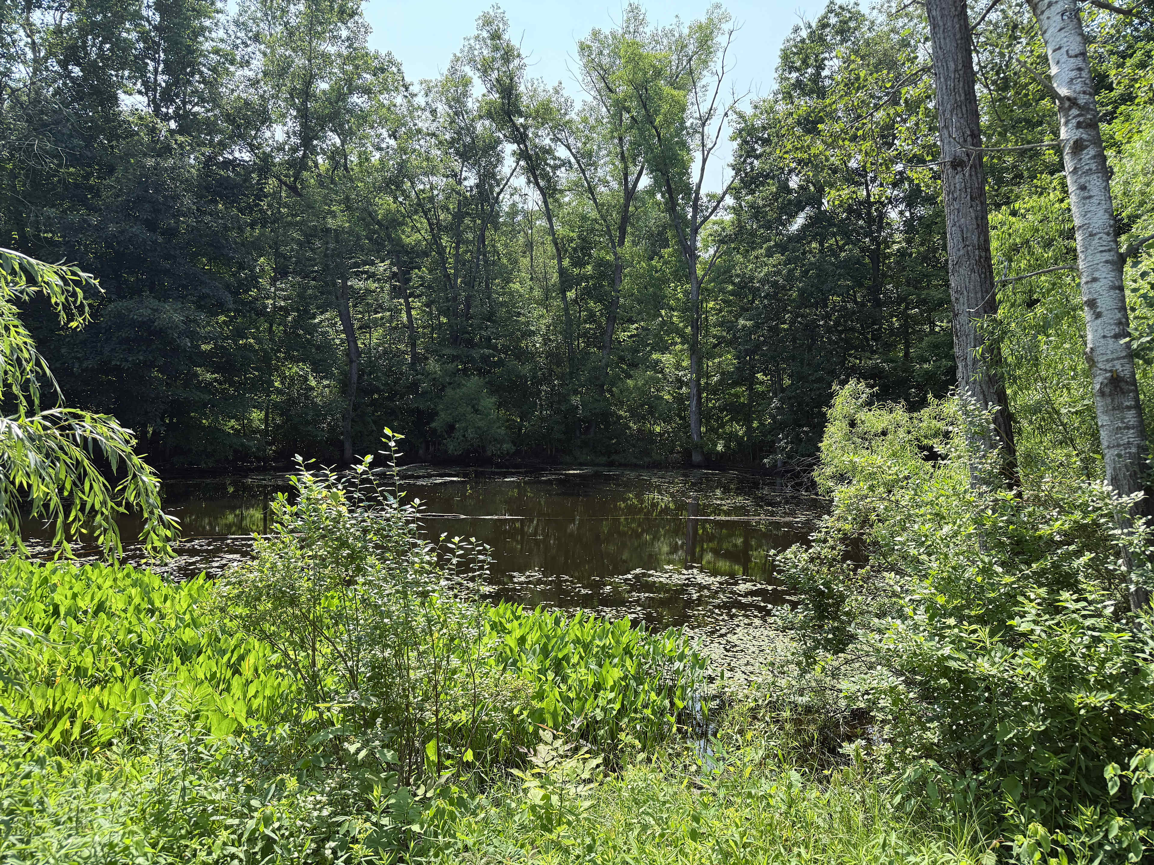 High Falls Farm