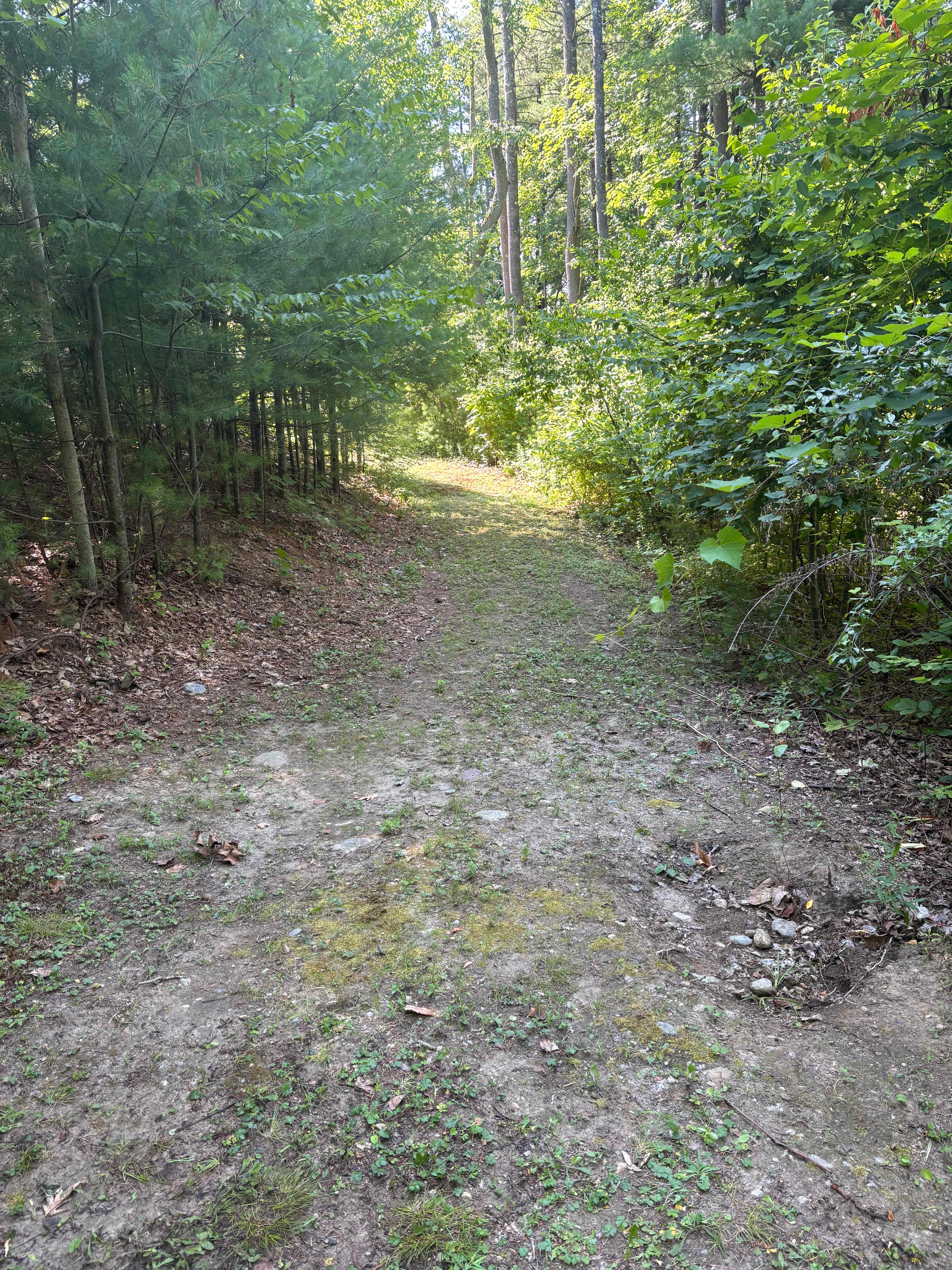 Hickory Heights Farm