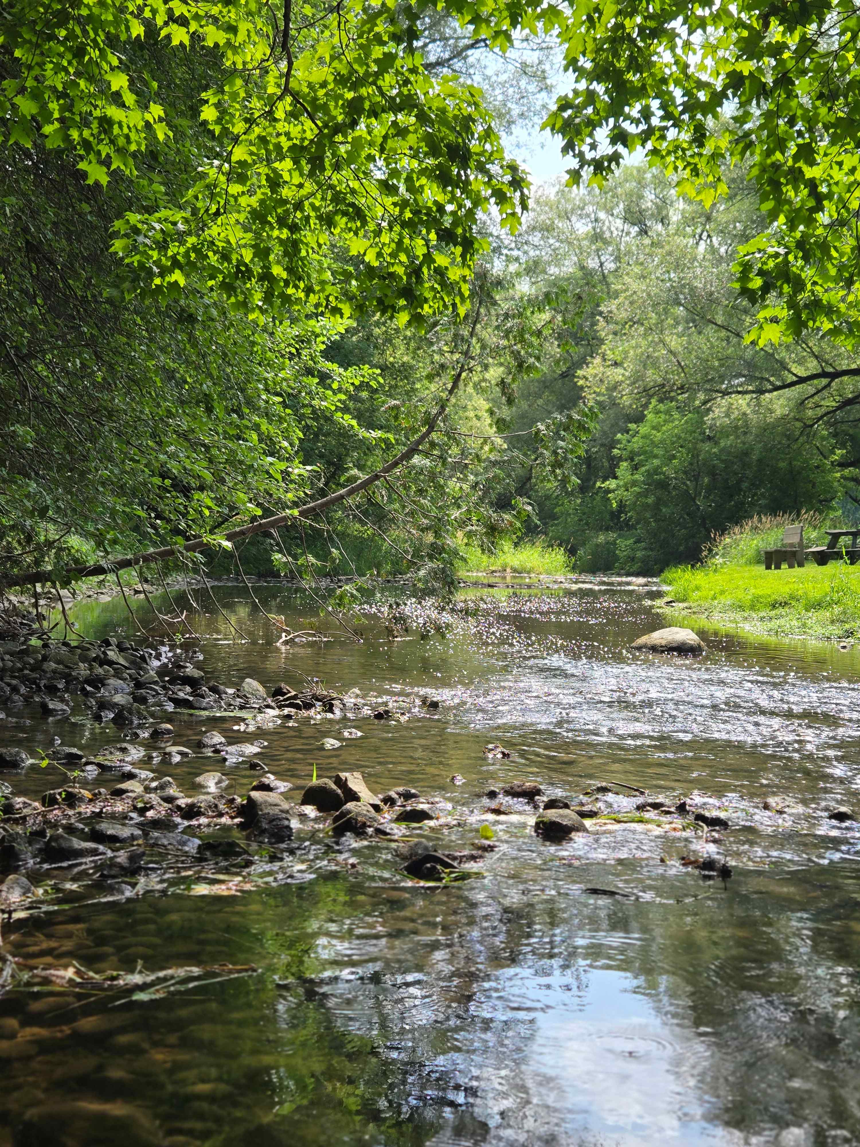 Everhill Farm