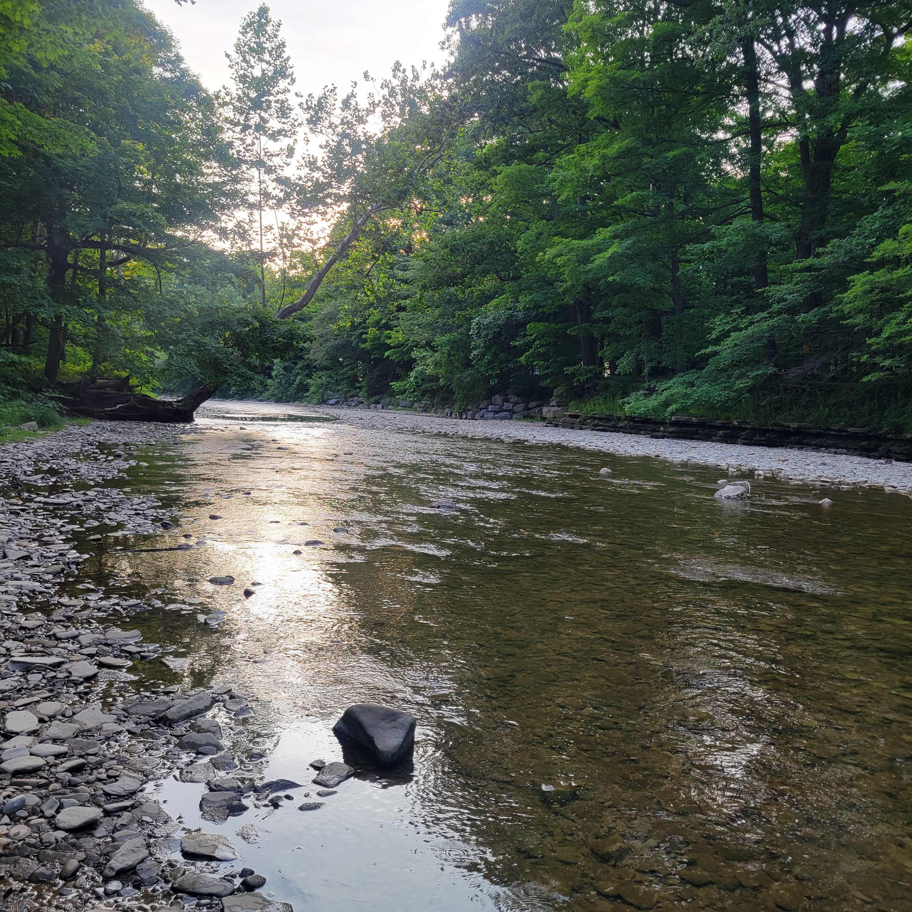 Steelhead Run Recreation Area