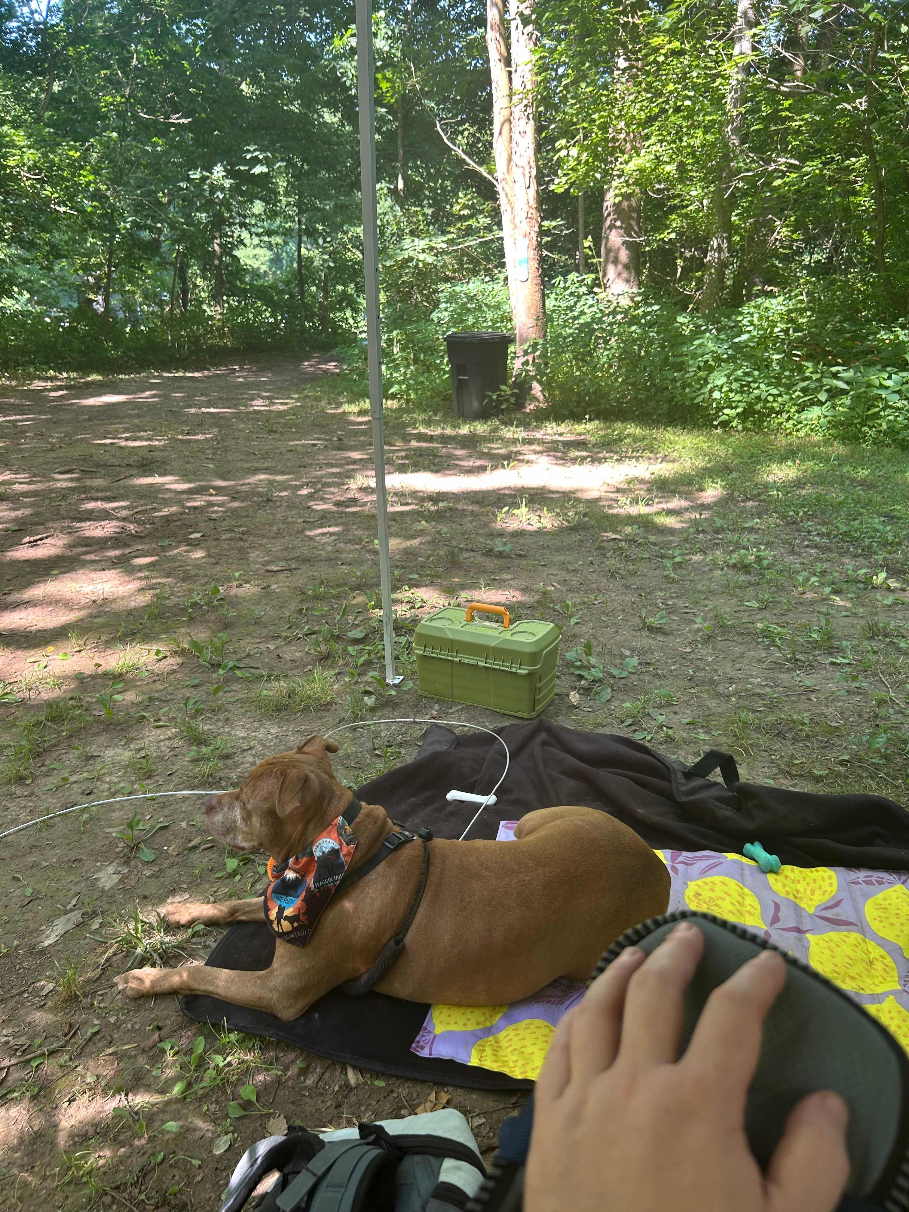 Hones Pointe Campground