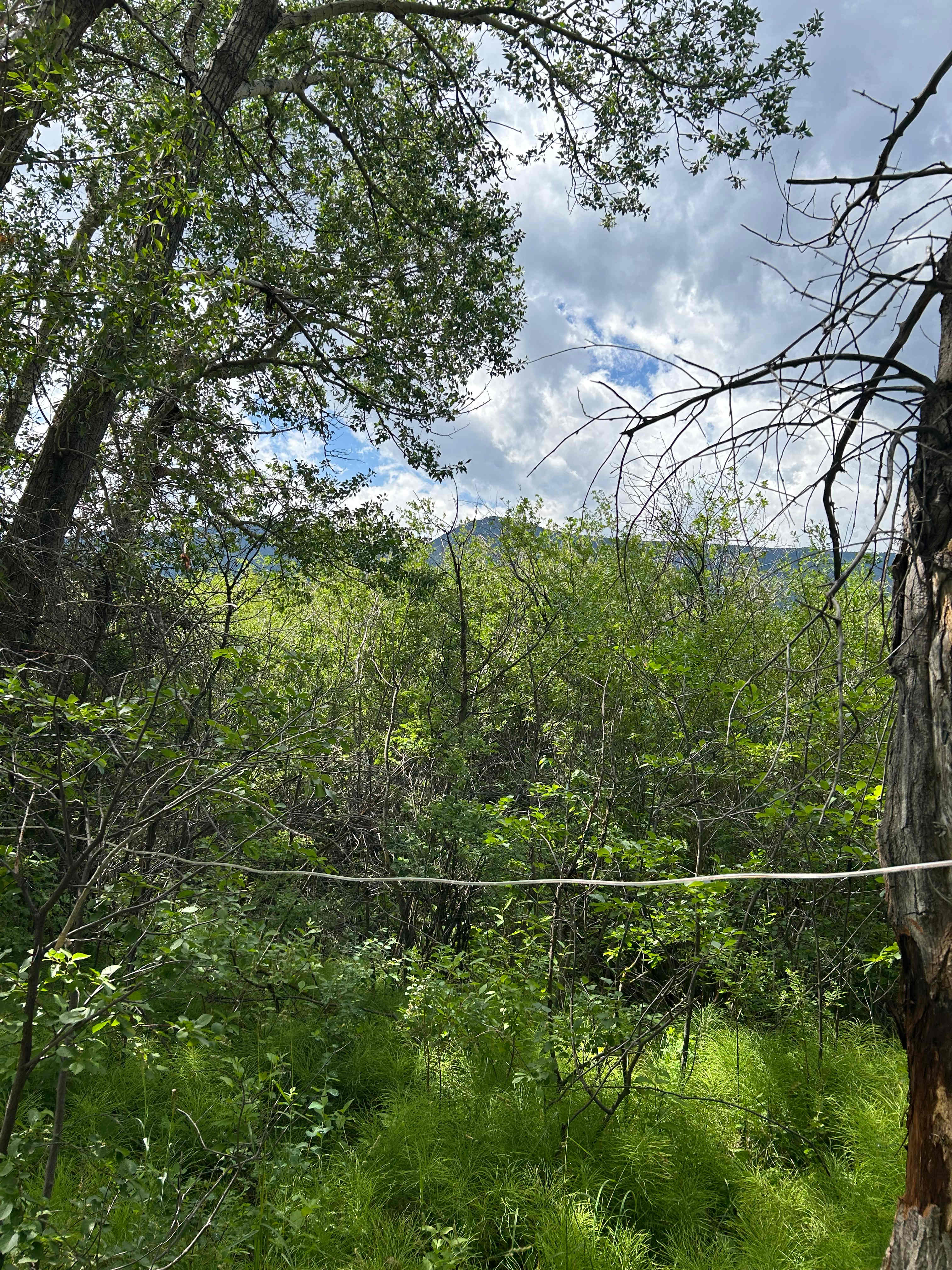 Miner Creek Campground