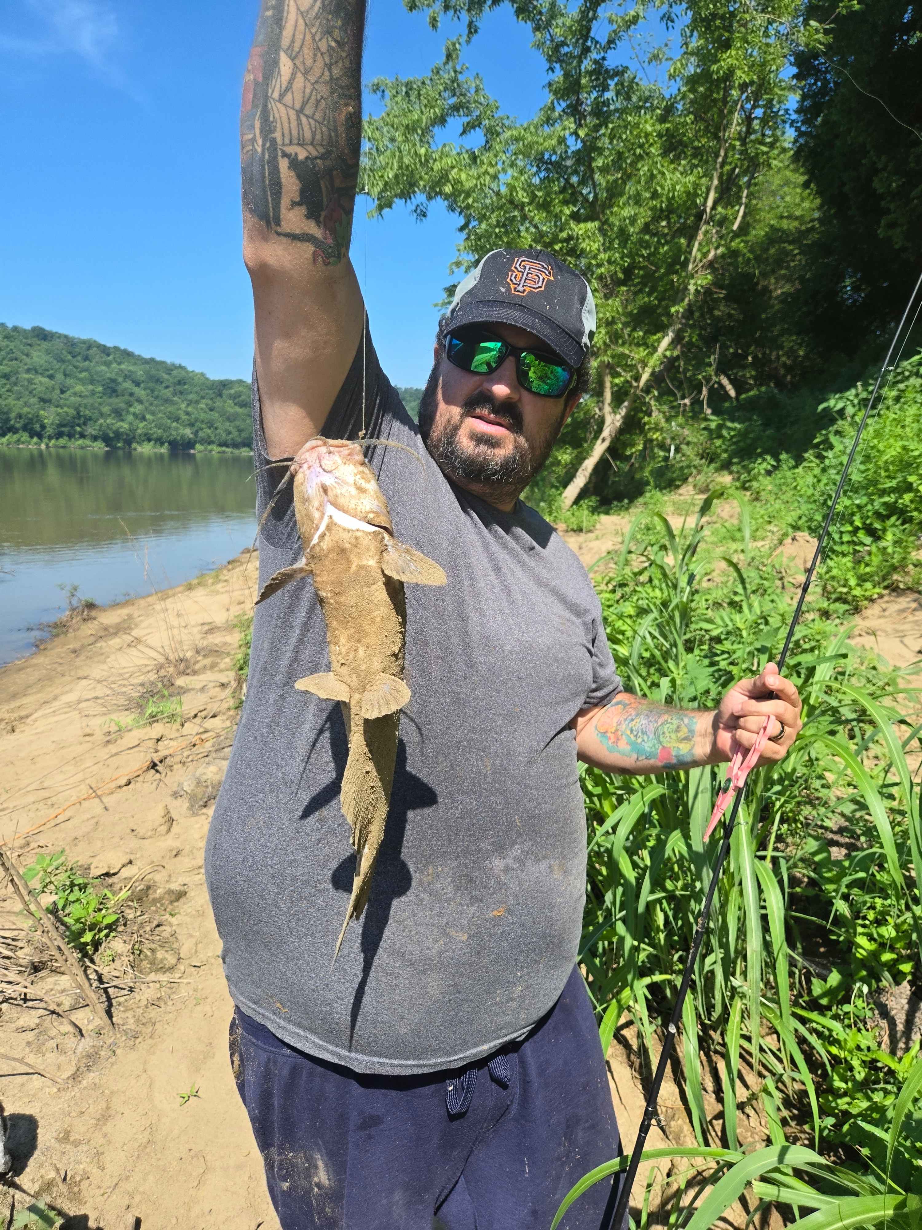 Channel Catfish