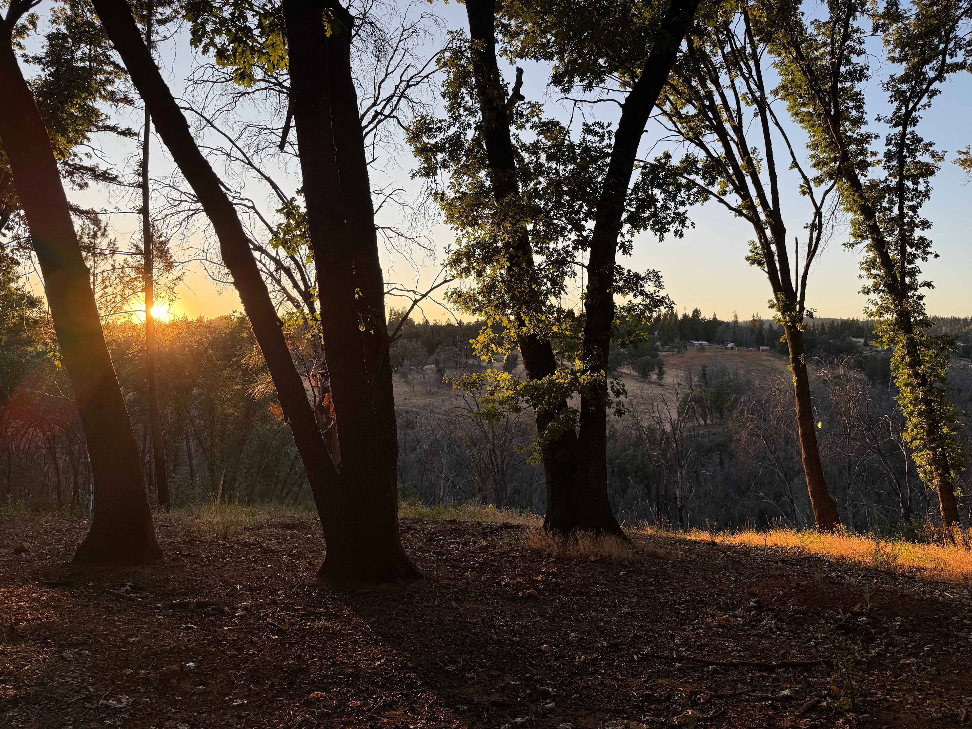 Sunset time. 