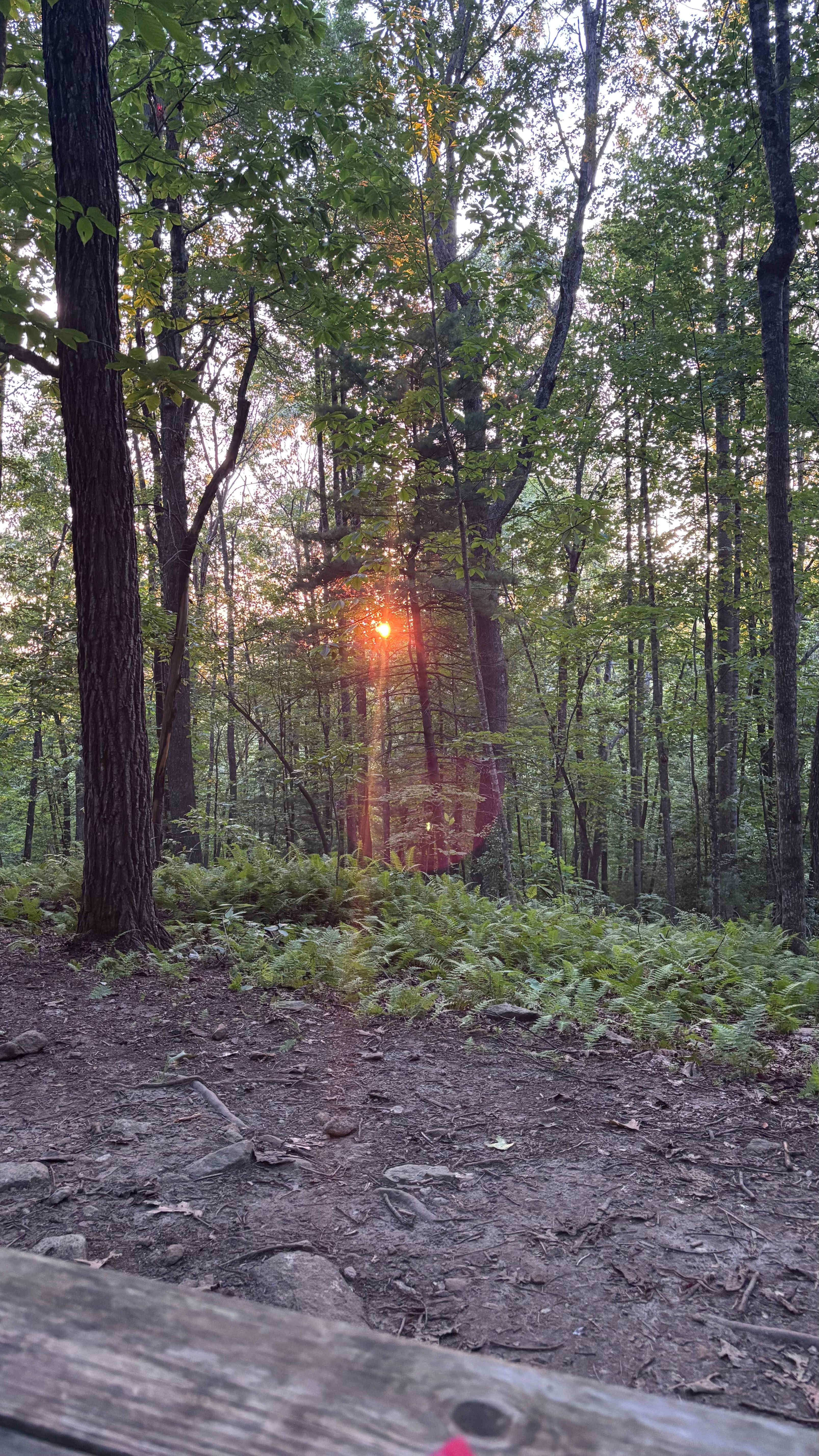 DuPont Bike Retreat
