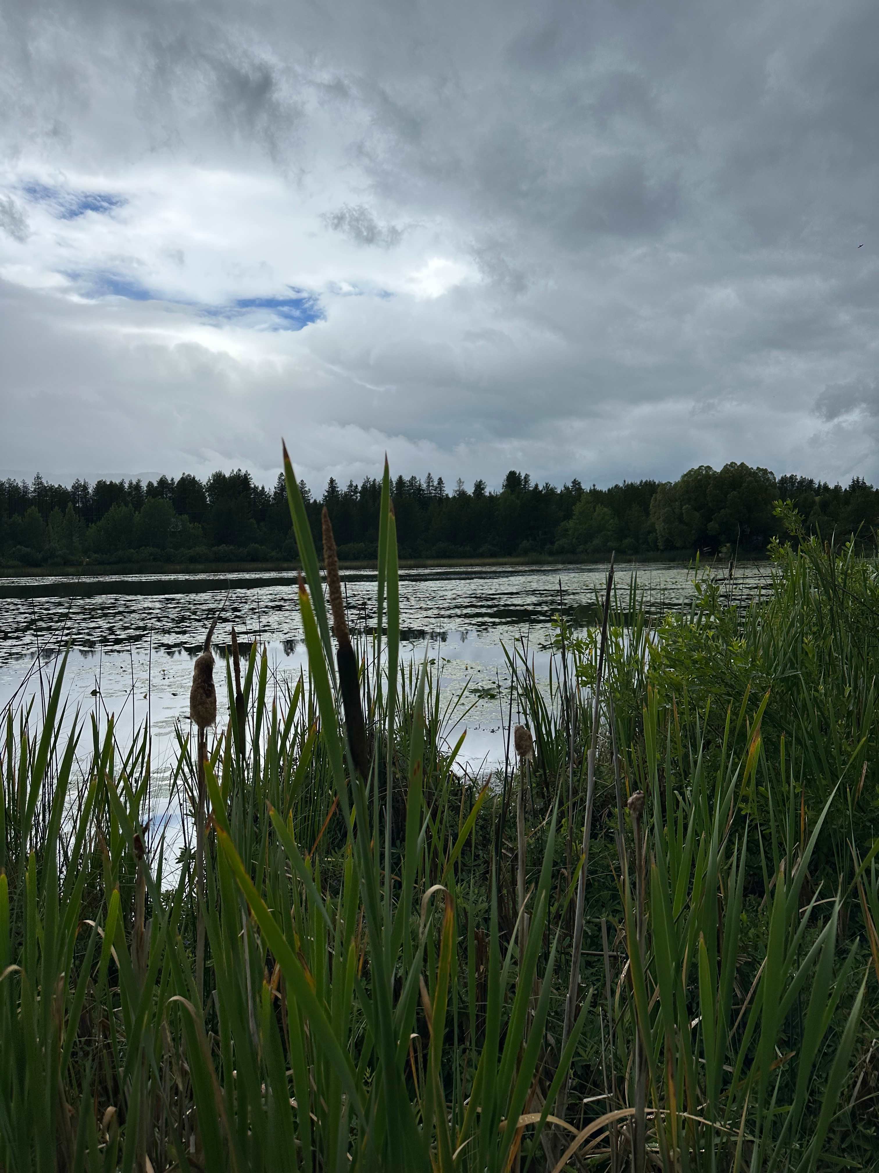The pond on the property.