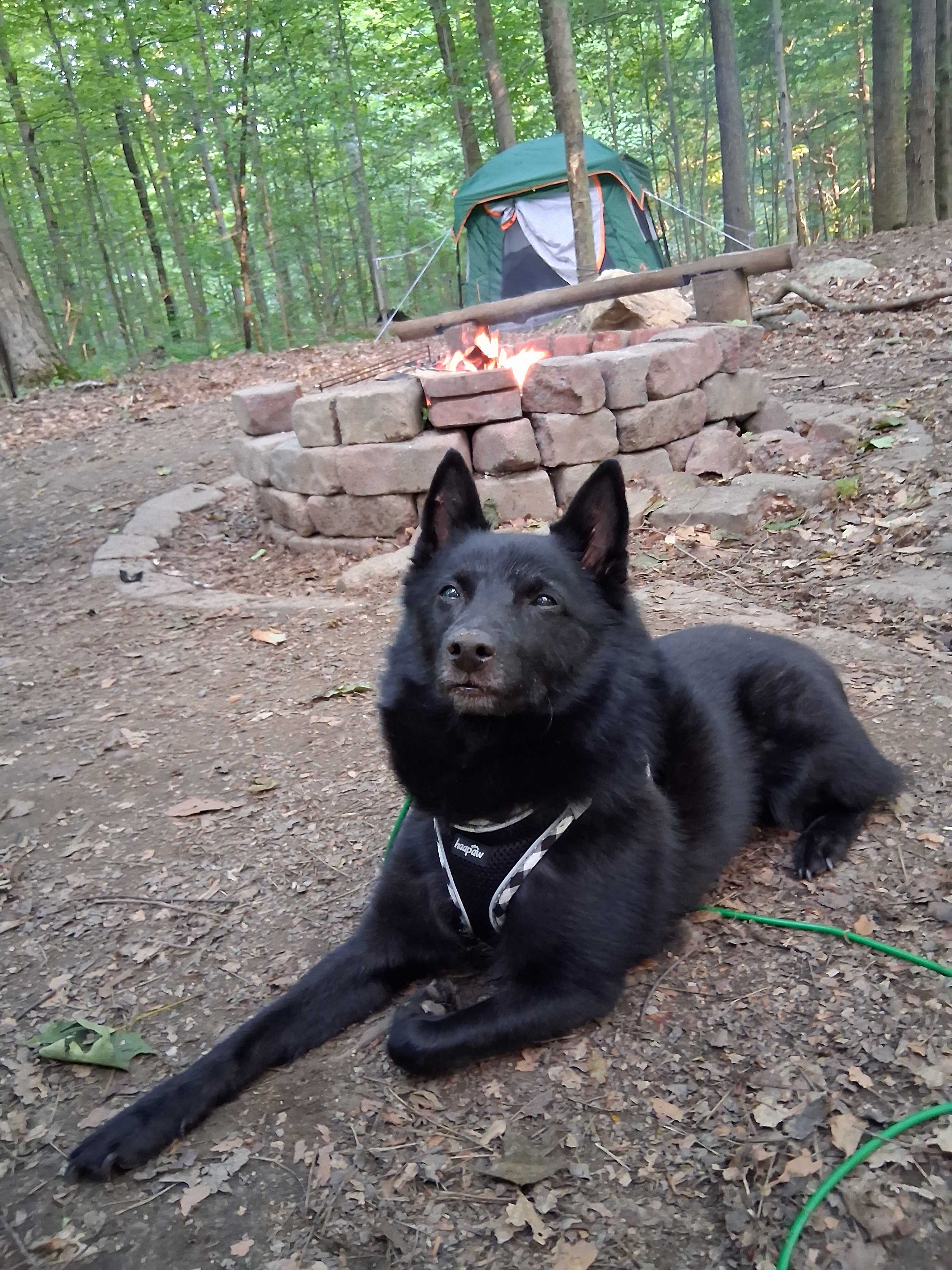 Zoar Valley Forest Retreat
