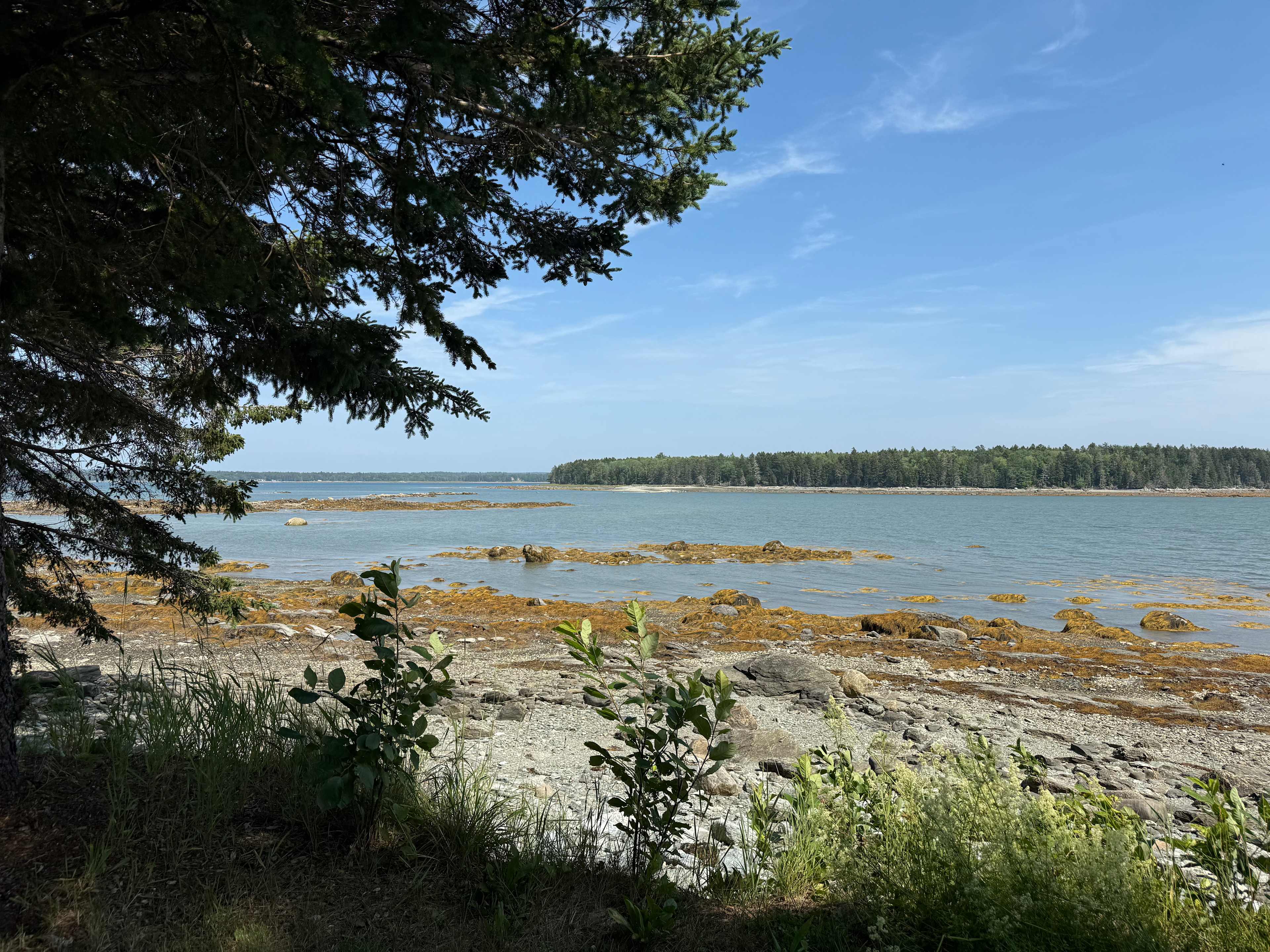 The Farm By The Sea
