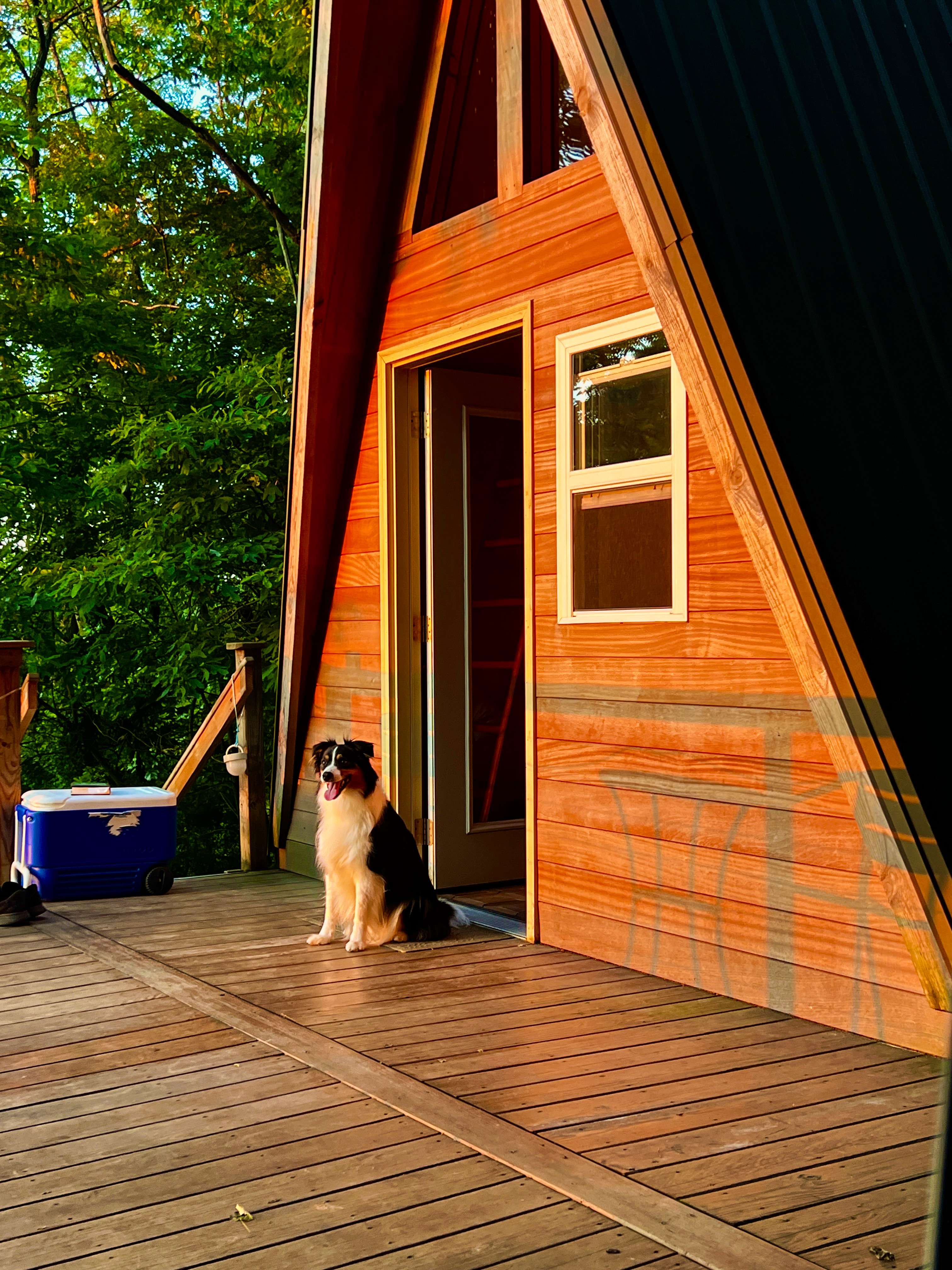 Had to get the gorgeous sunset shot with Bitty, our australian shepherd dog model. 