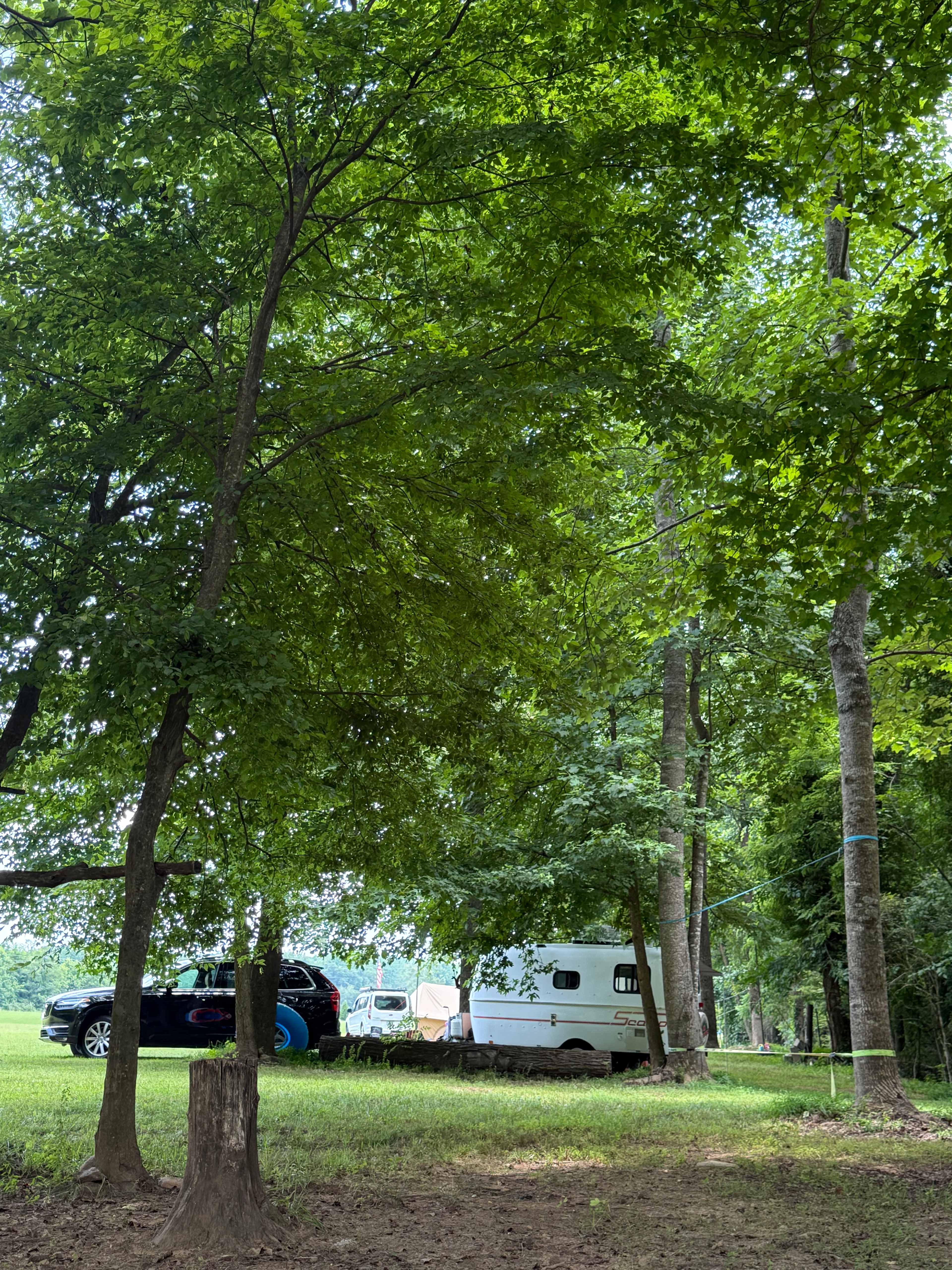 Linville Adventure Pasture (LAP)