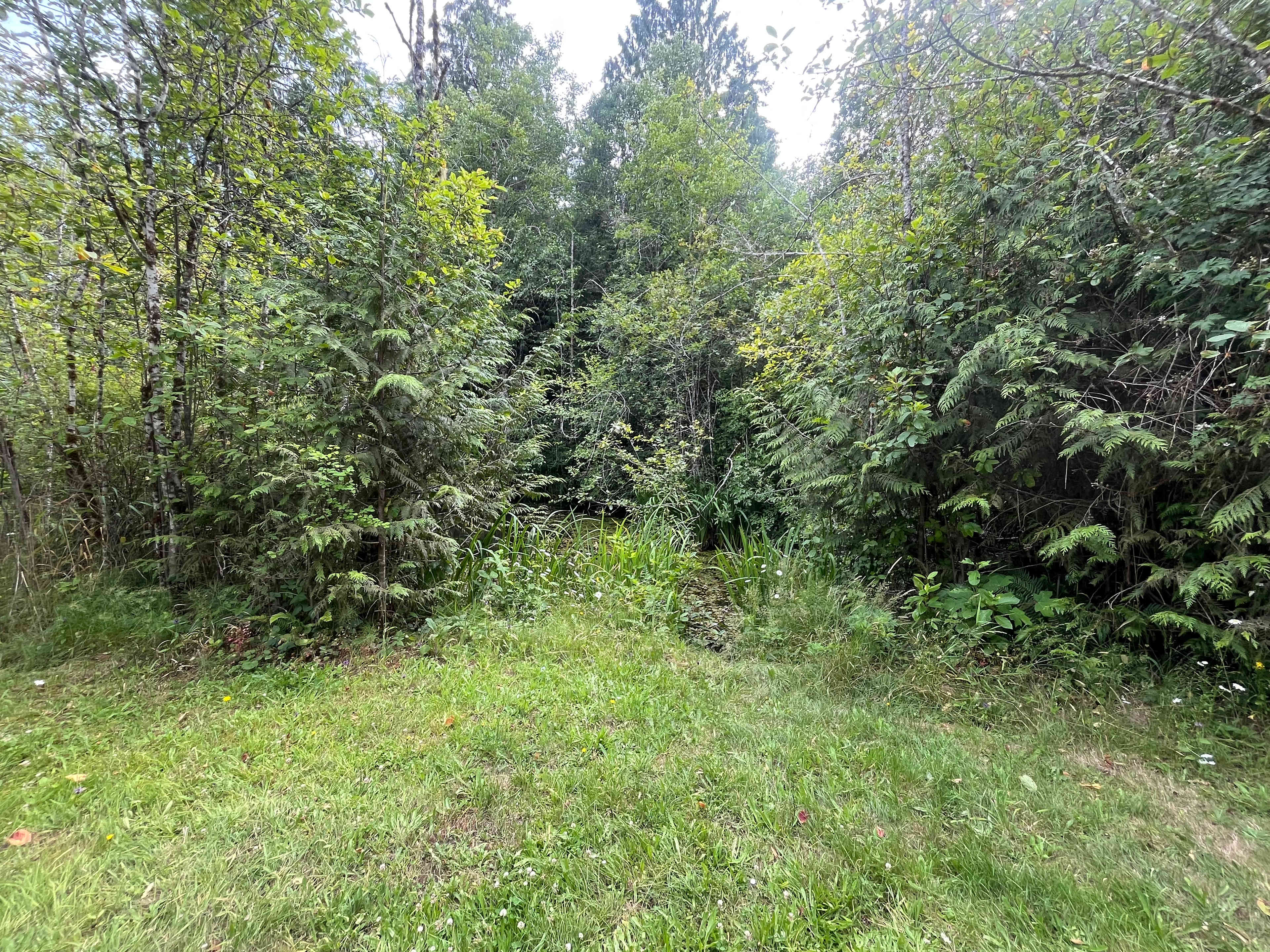 James & Patricia's Oasis