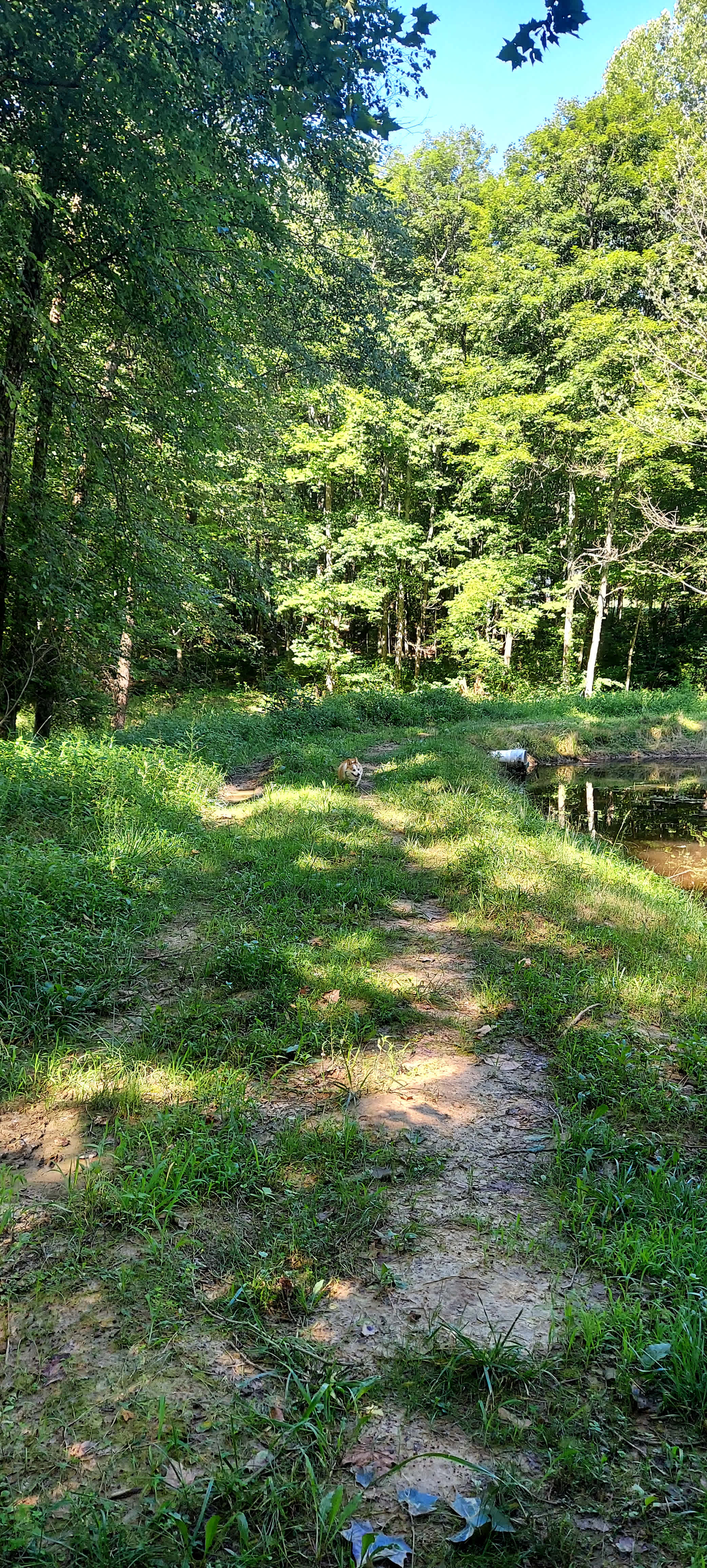 Buck Run RV Retreat