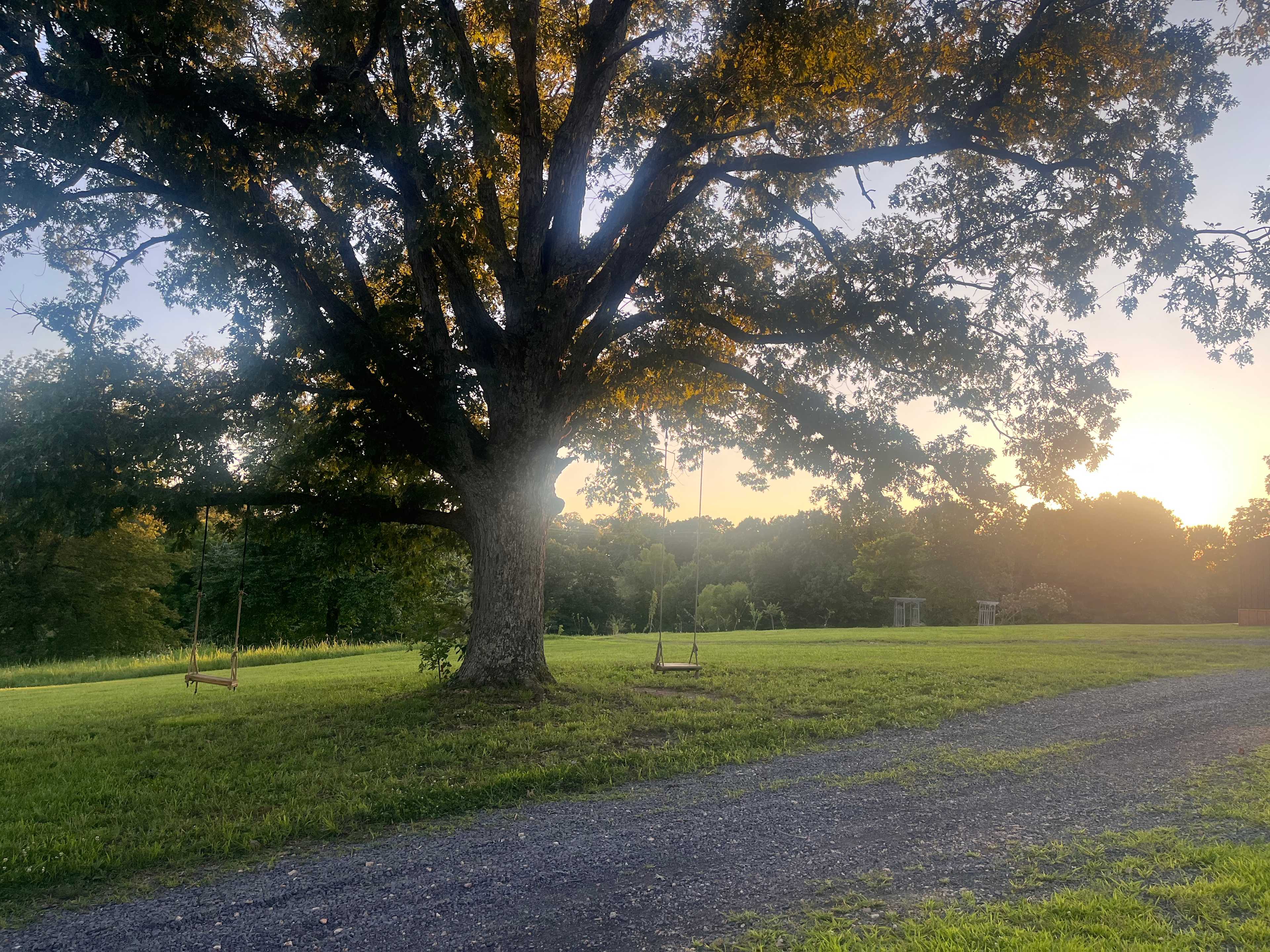 Grassy Road Cabins and RV Camping