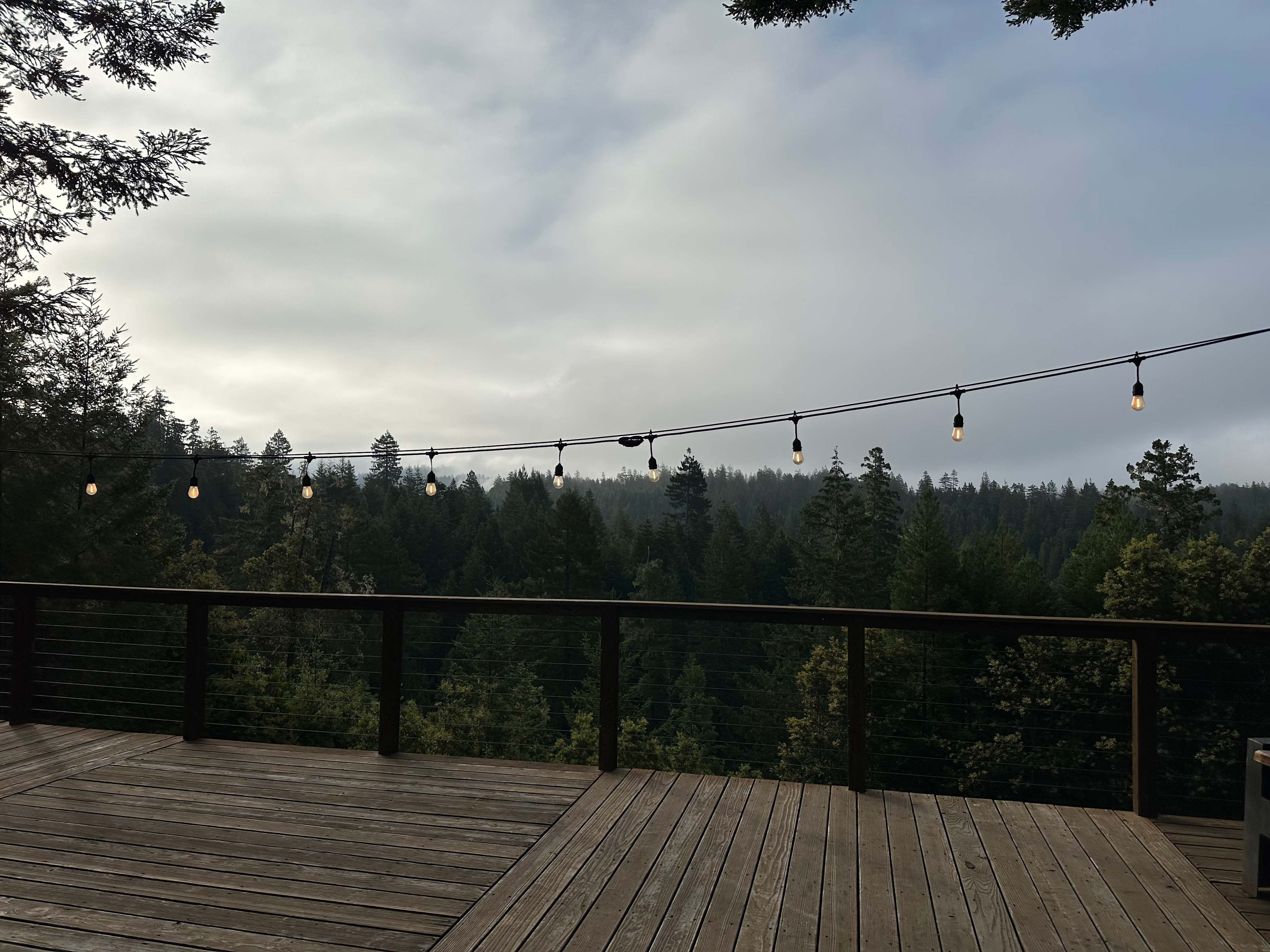 View in the early morning 