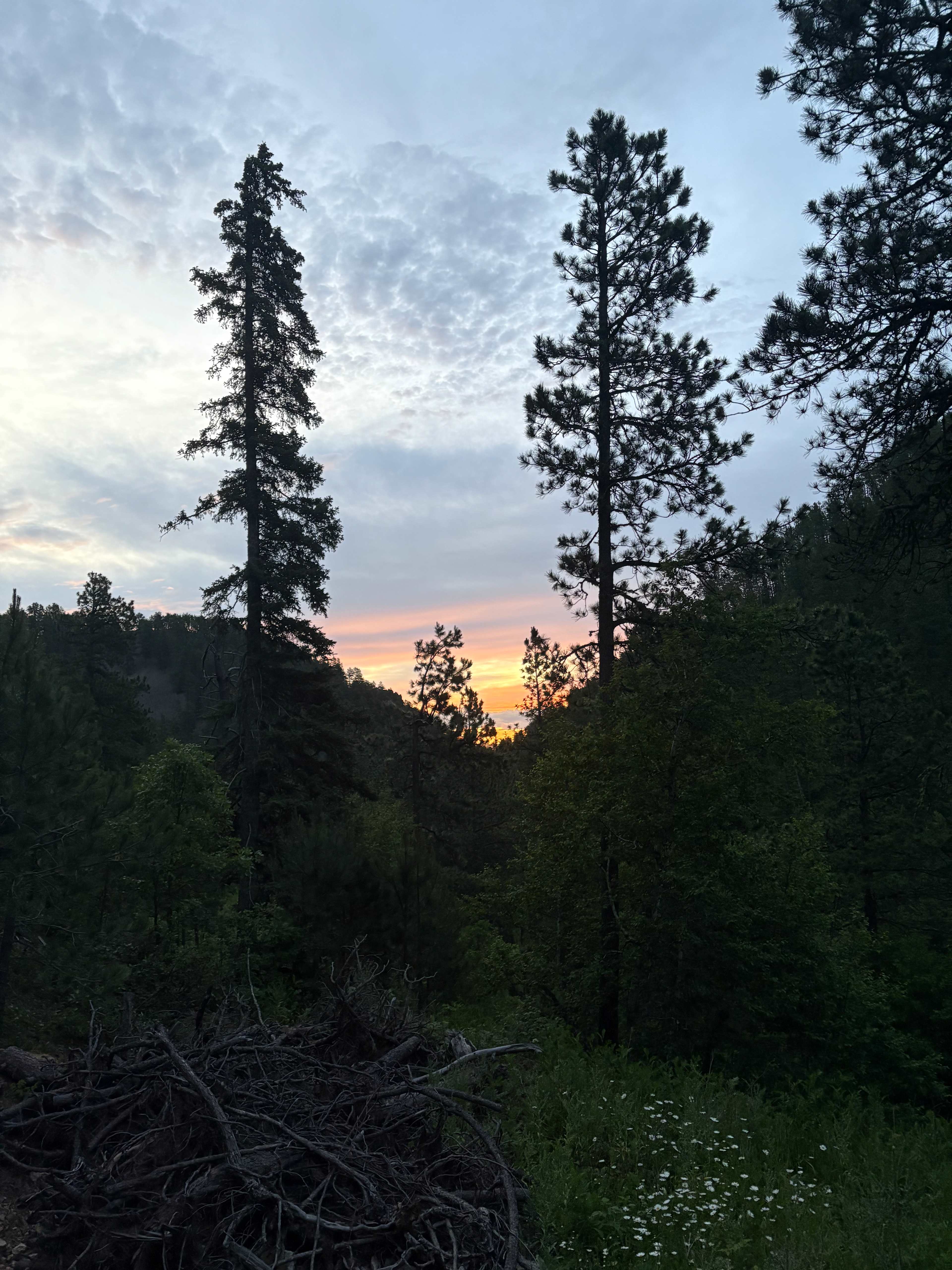 The view of the sunset (facing towards the town of Lead)