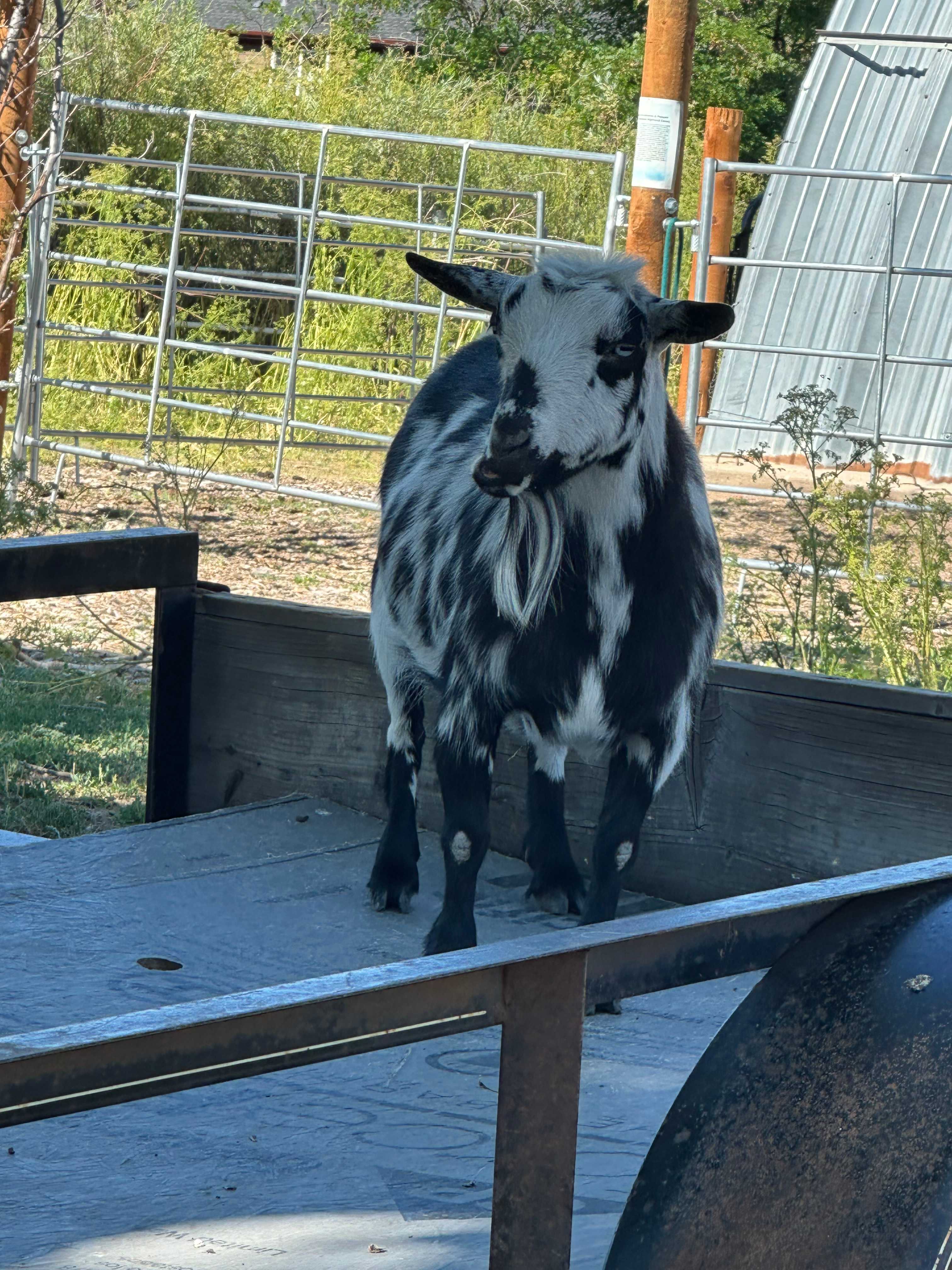 4 Season Marketplace