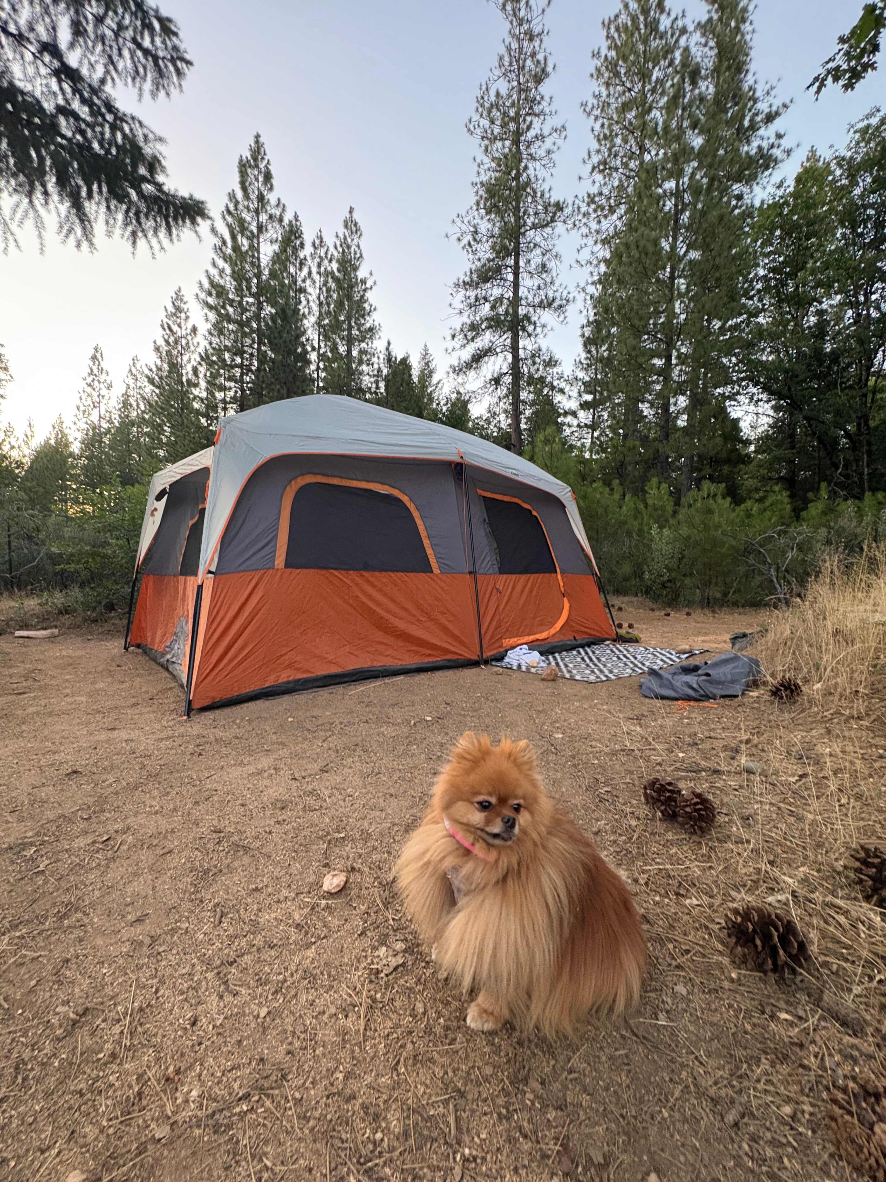 Gypsy on the Mountain