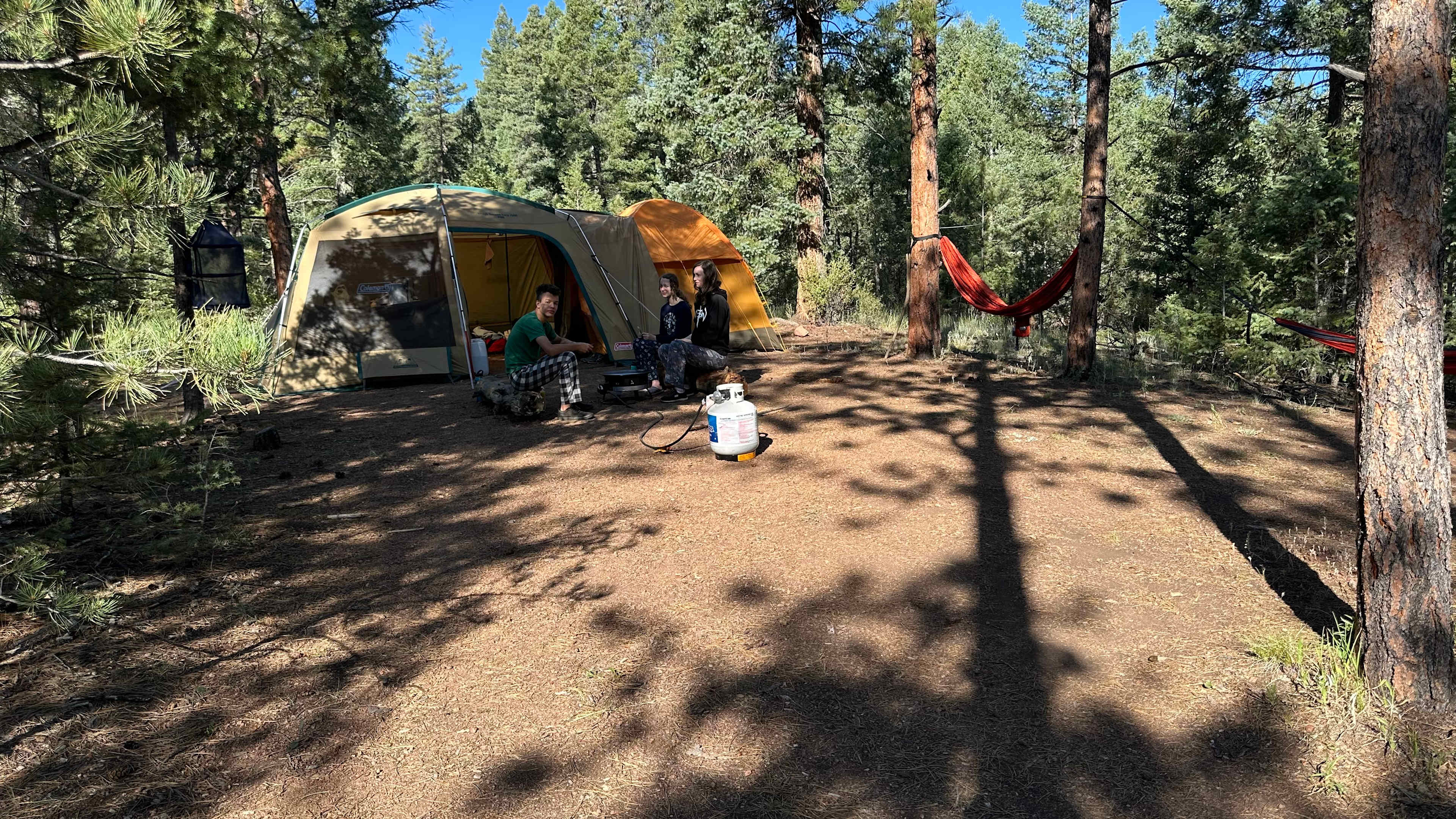 Serenity in the Foothills