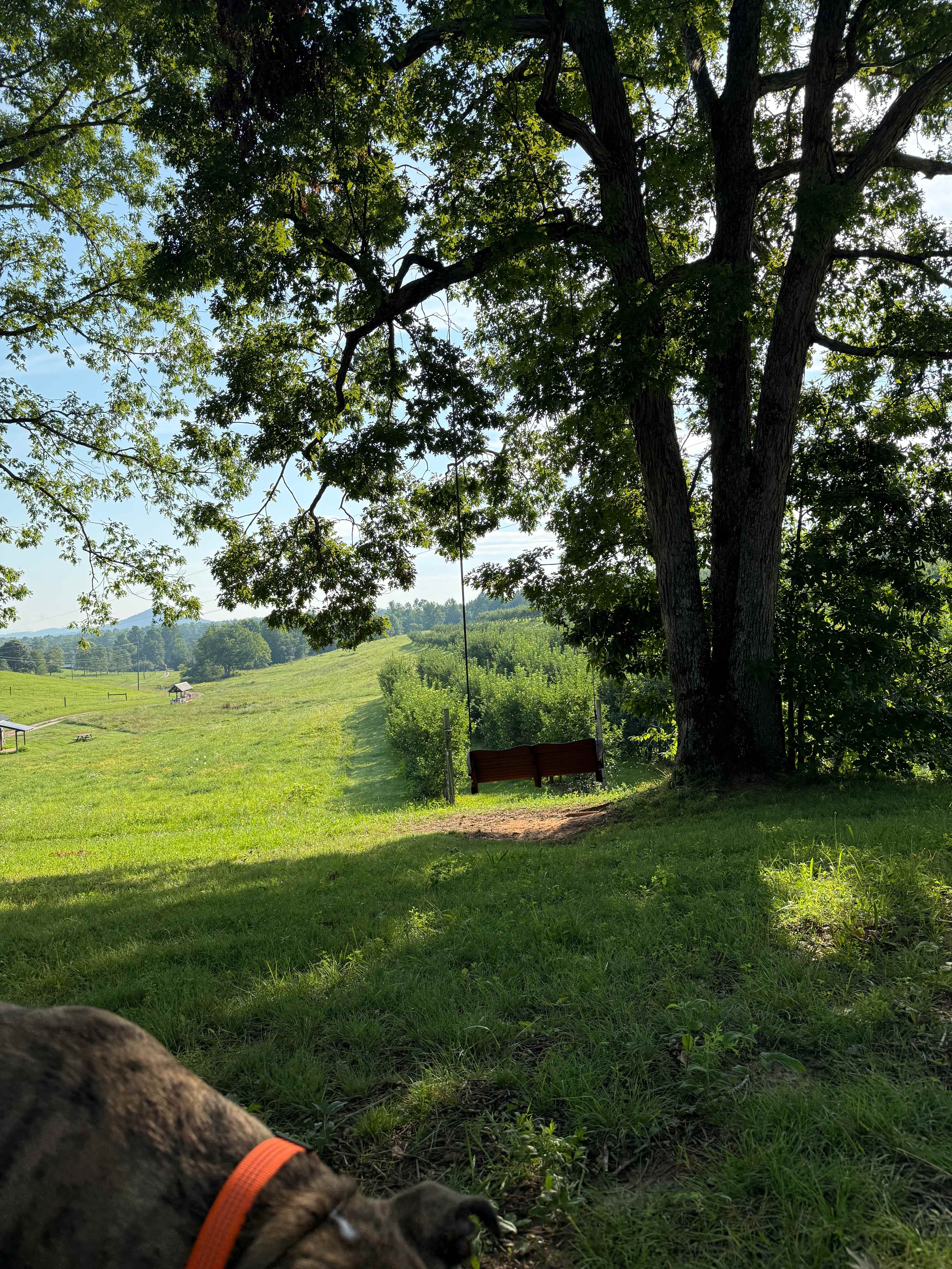 Chattooga Belle Farm Lakeside