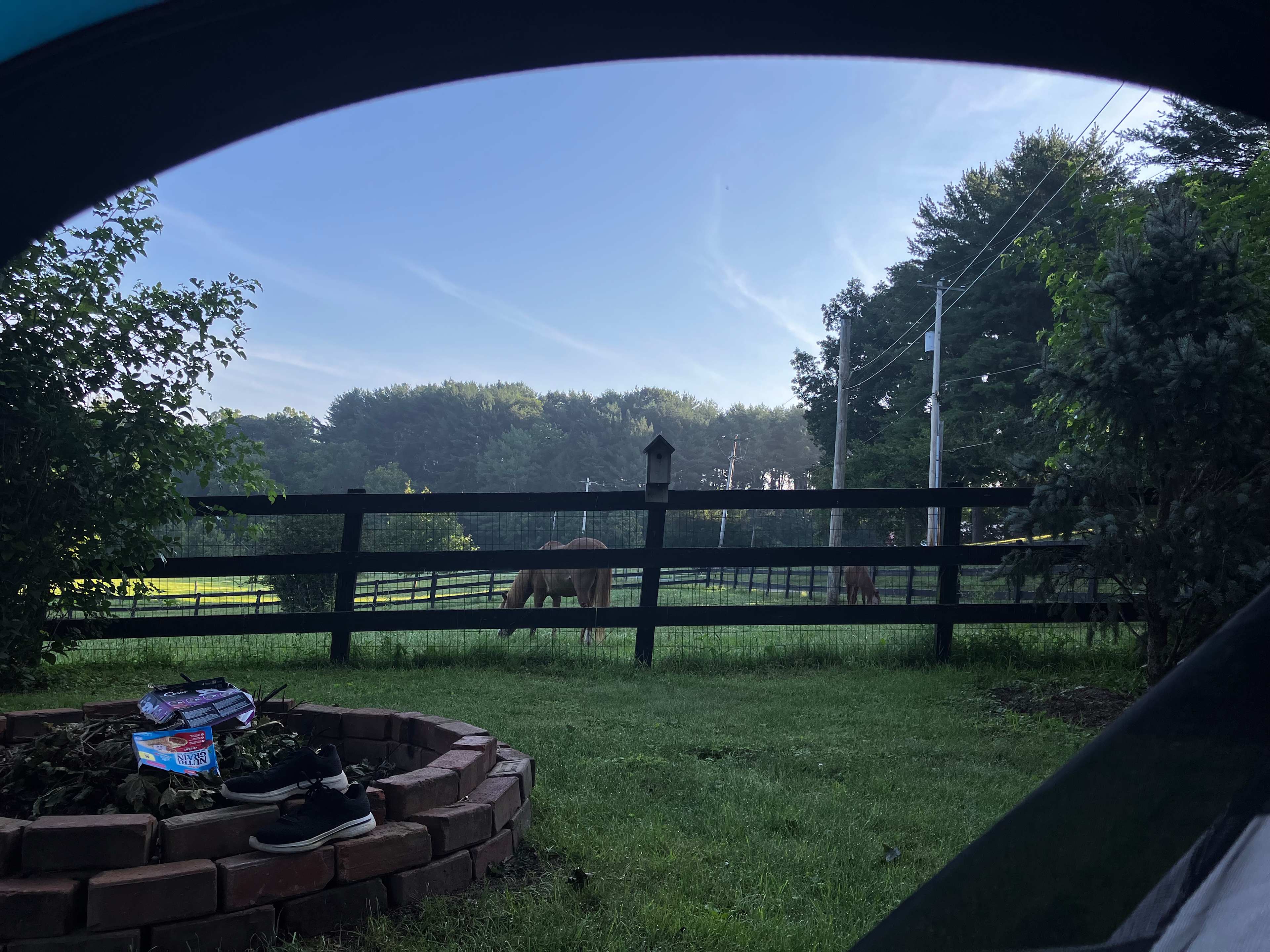 Horse lover’s dream =)