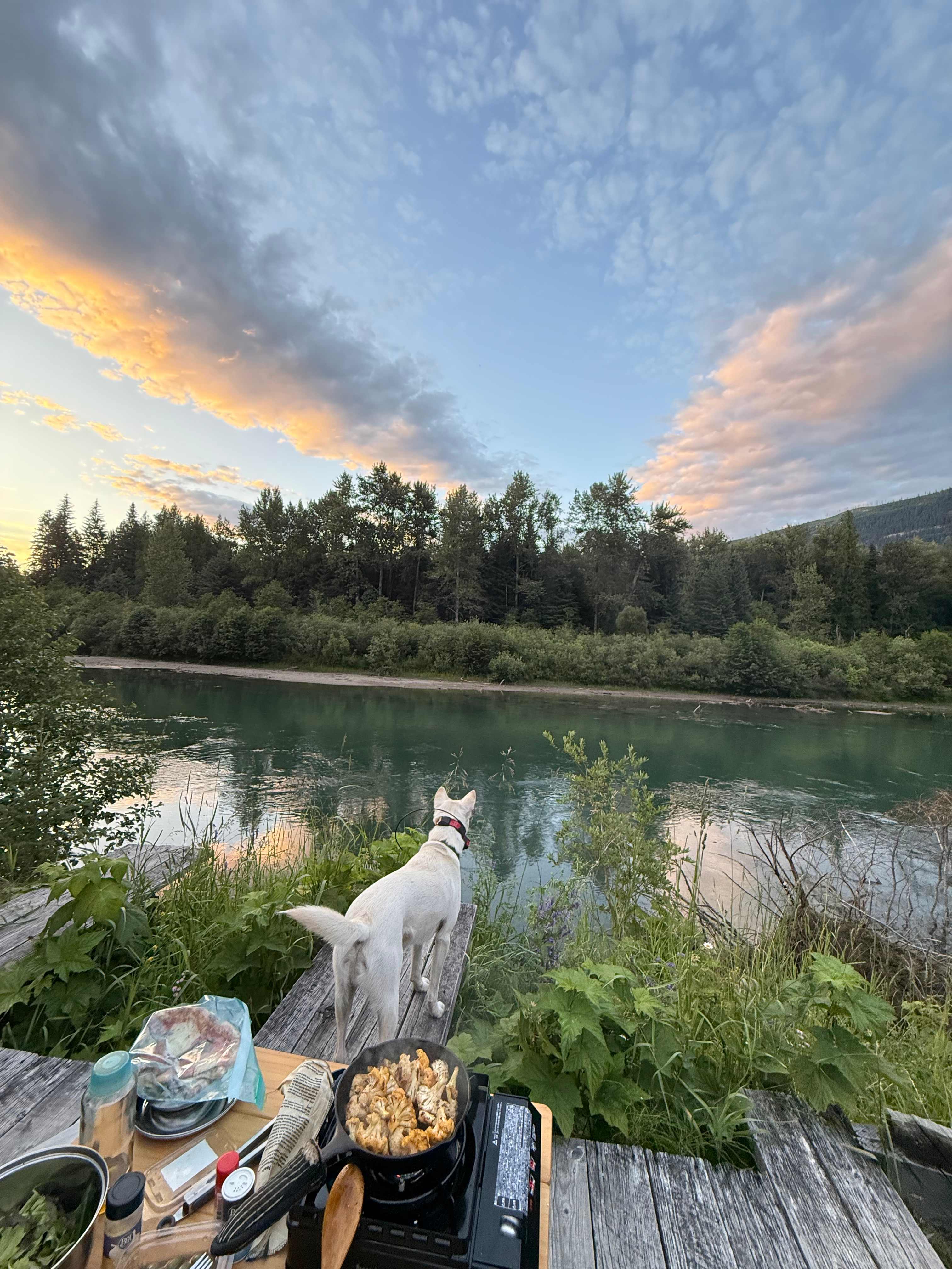 Laid Back Manor Farm