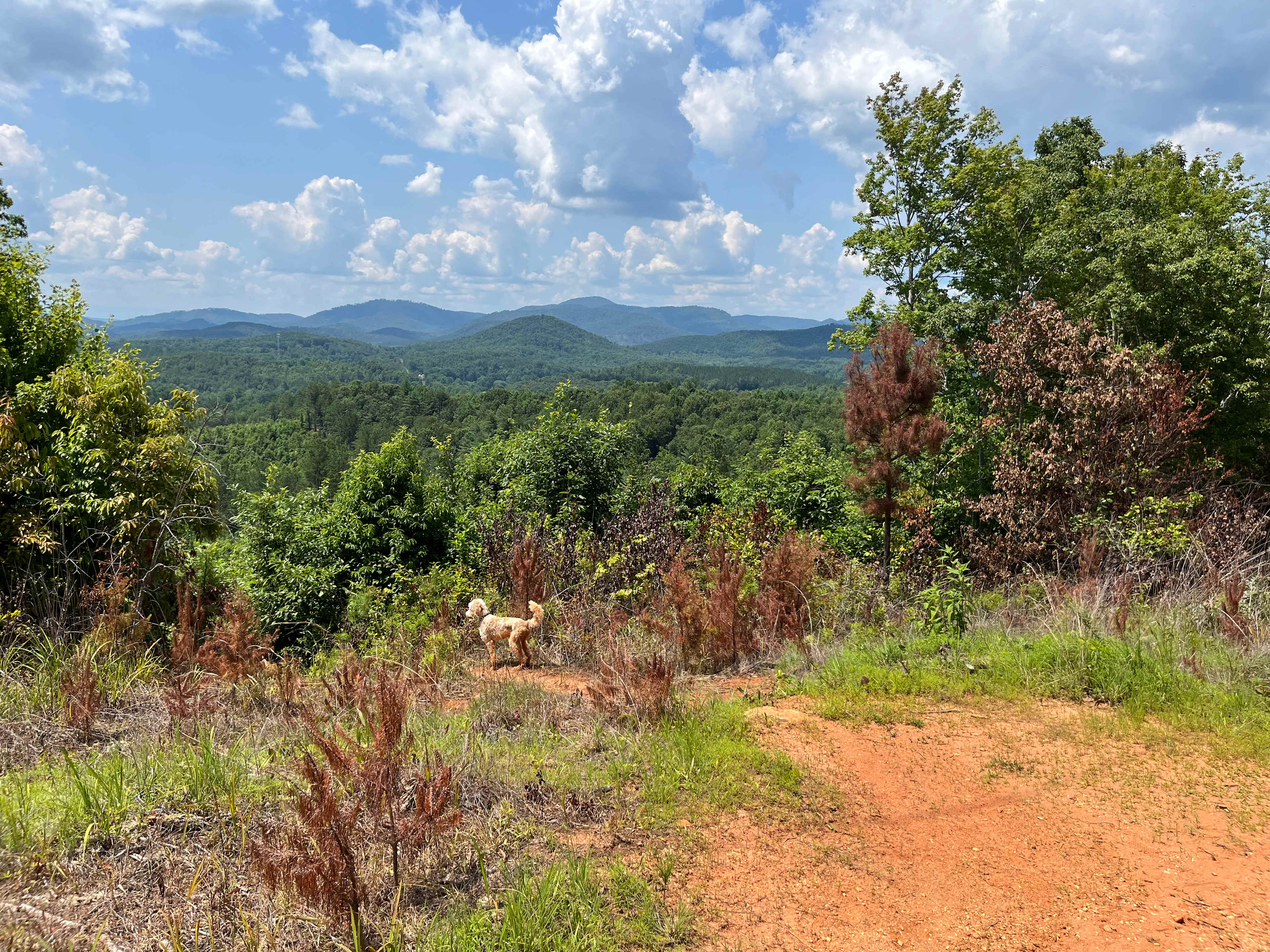 Second overlook