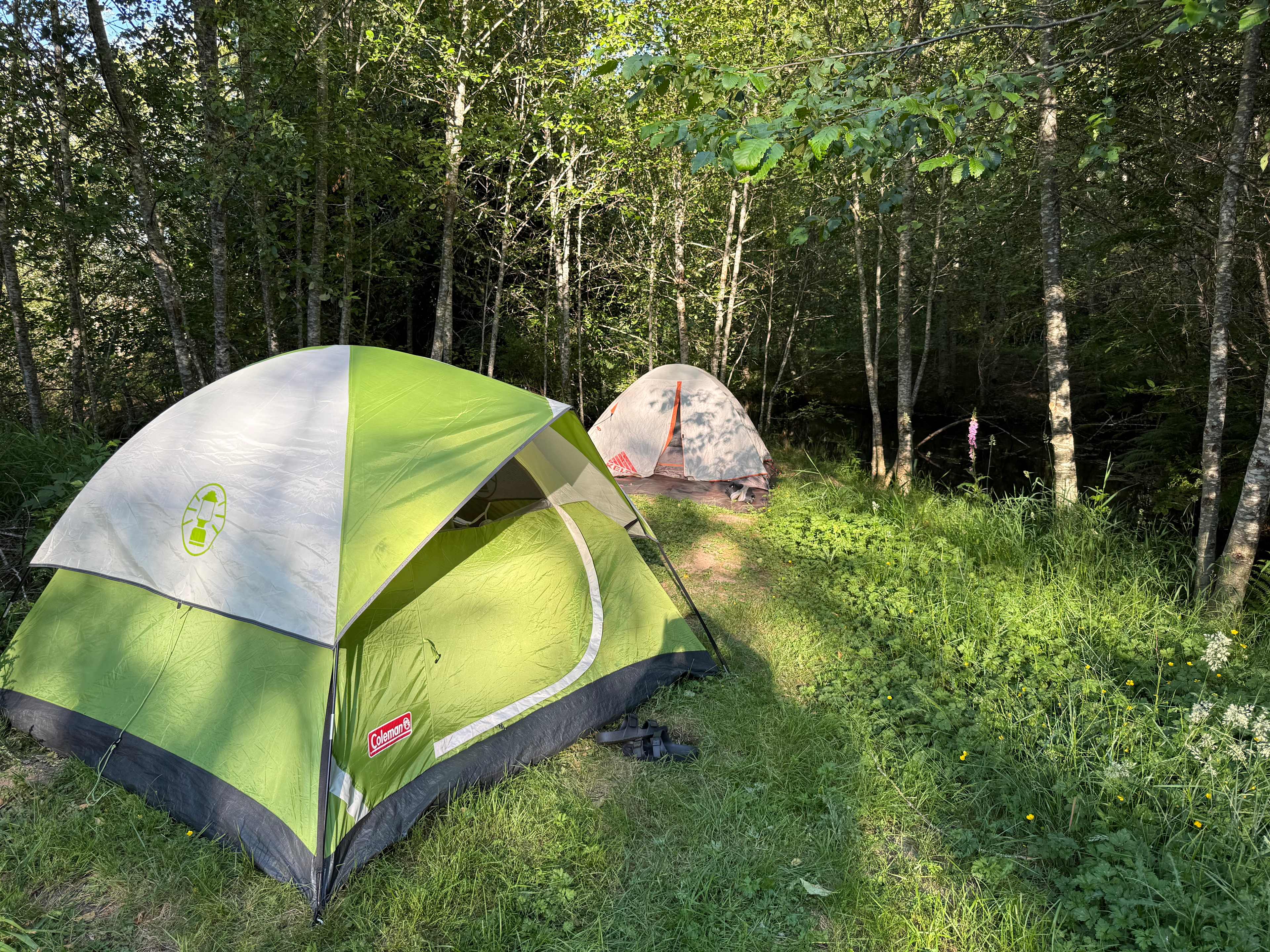 Tents near the pond