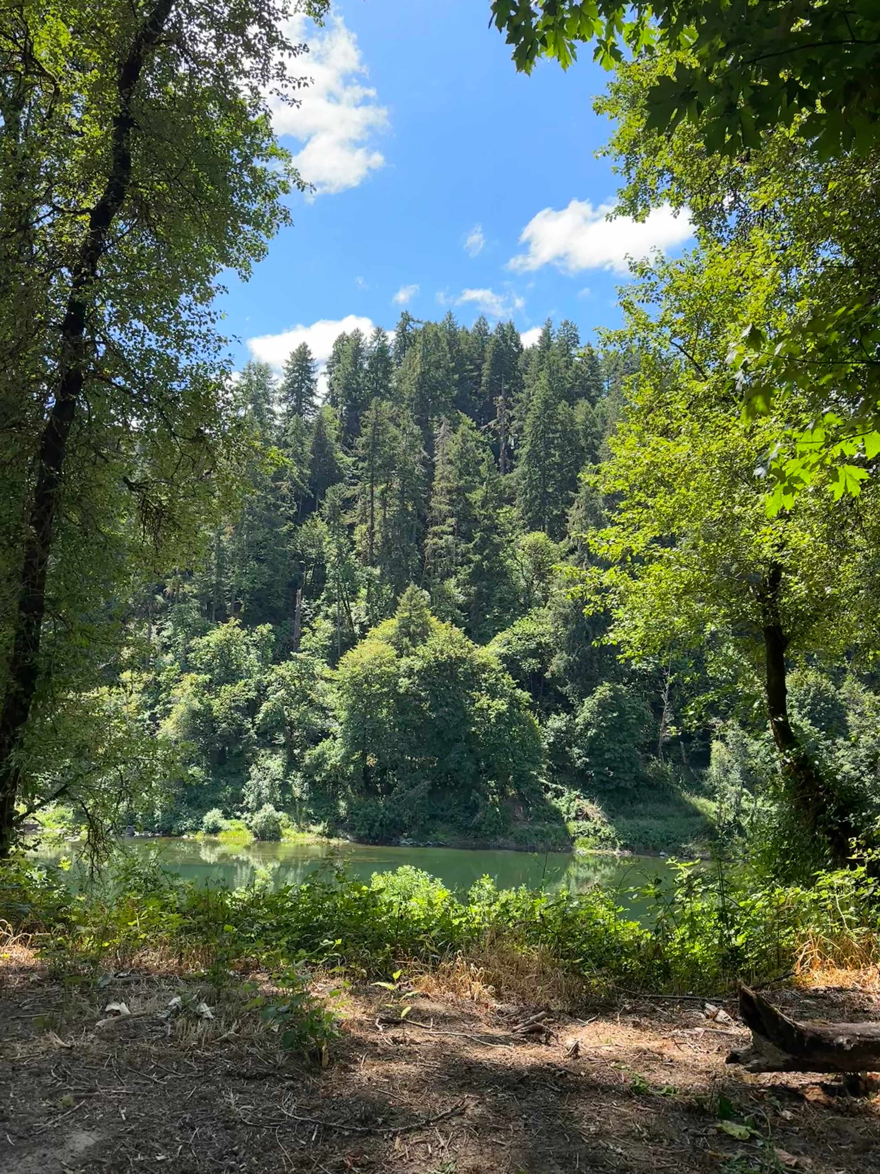 Tyee Farm