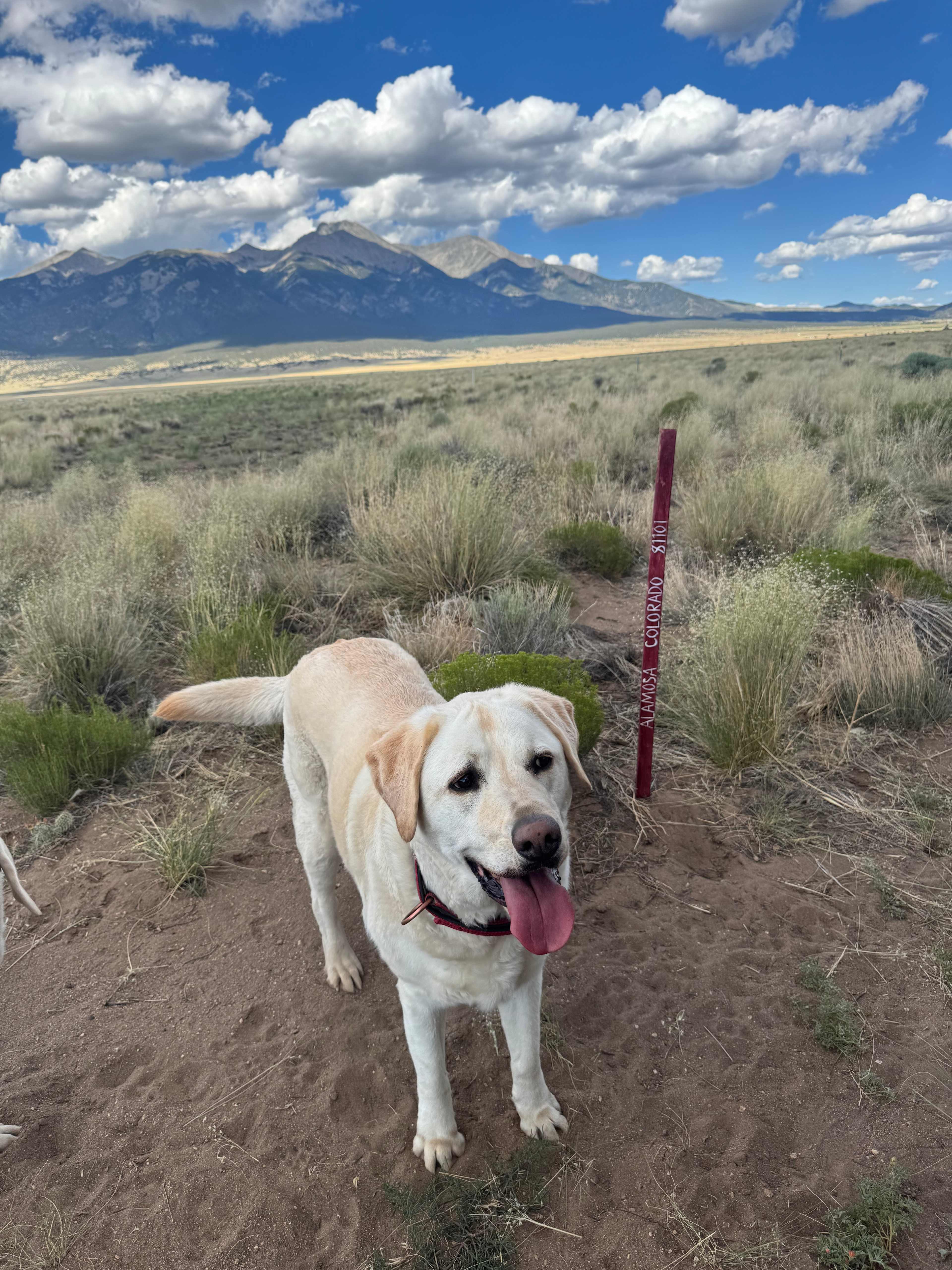 Secluded San Luis Valley Campsite