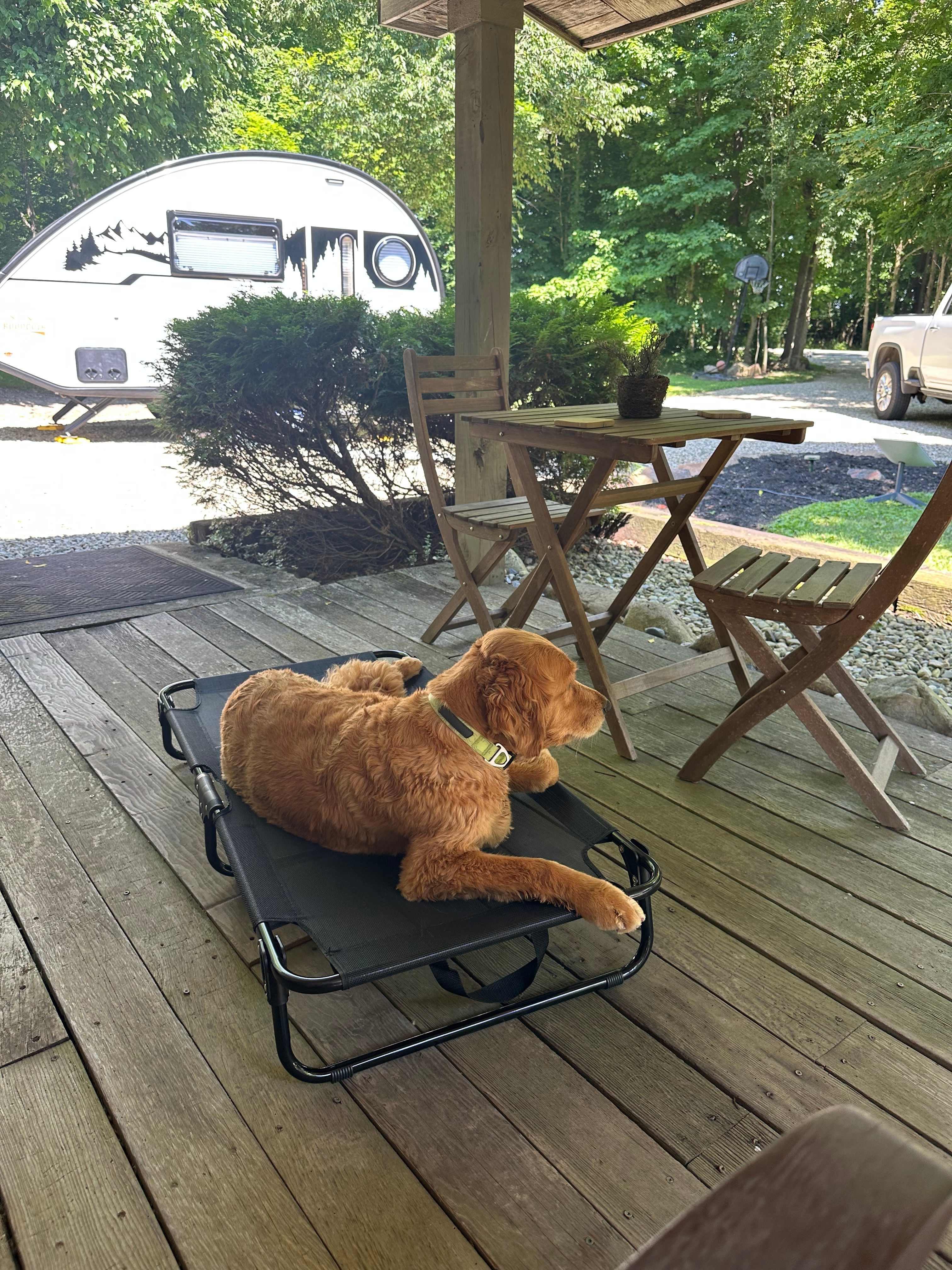 Cabin and Company (RV/Campers only)