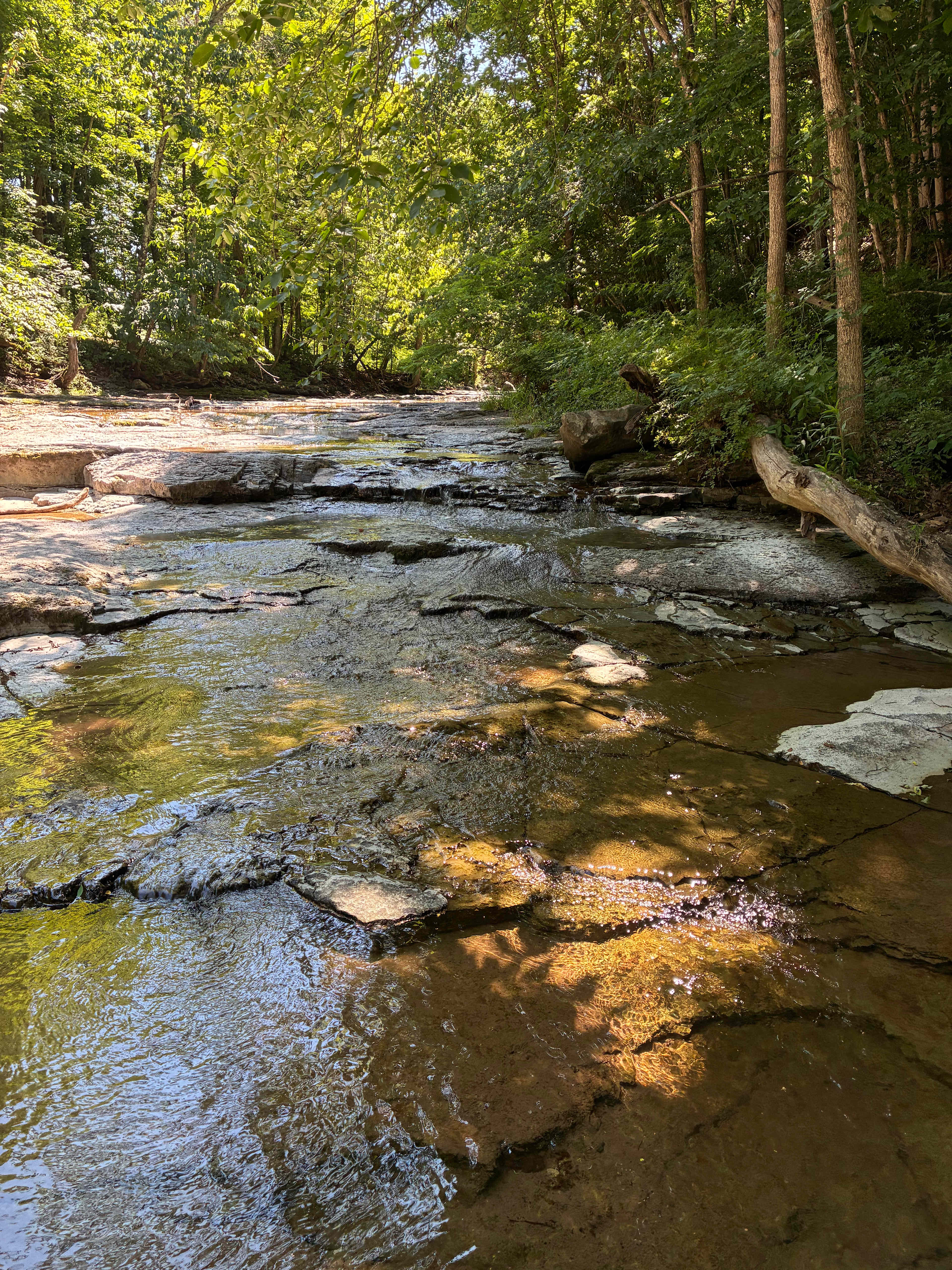 Locust Grove Waterfall