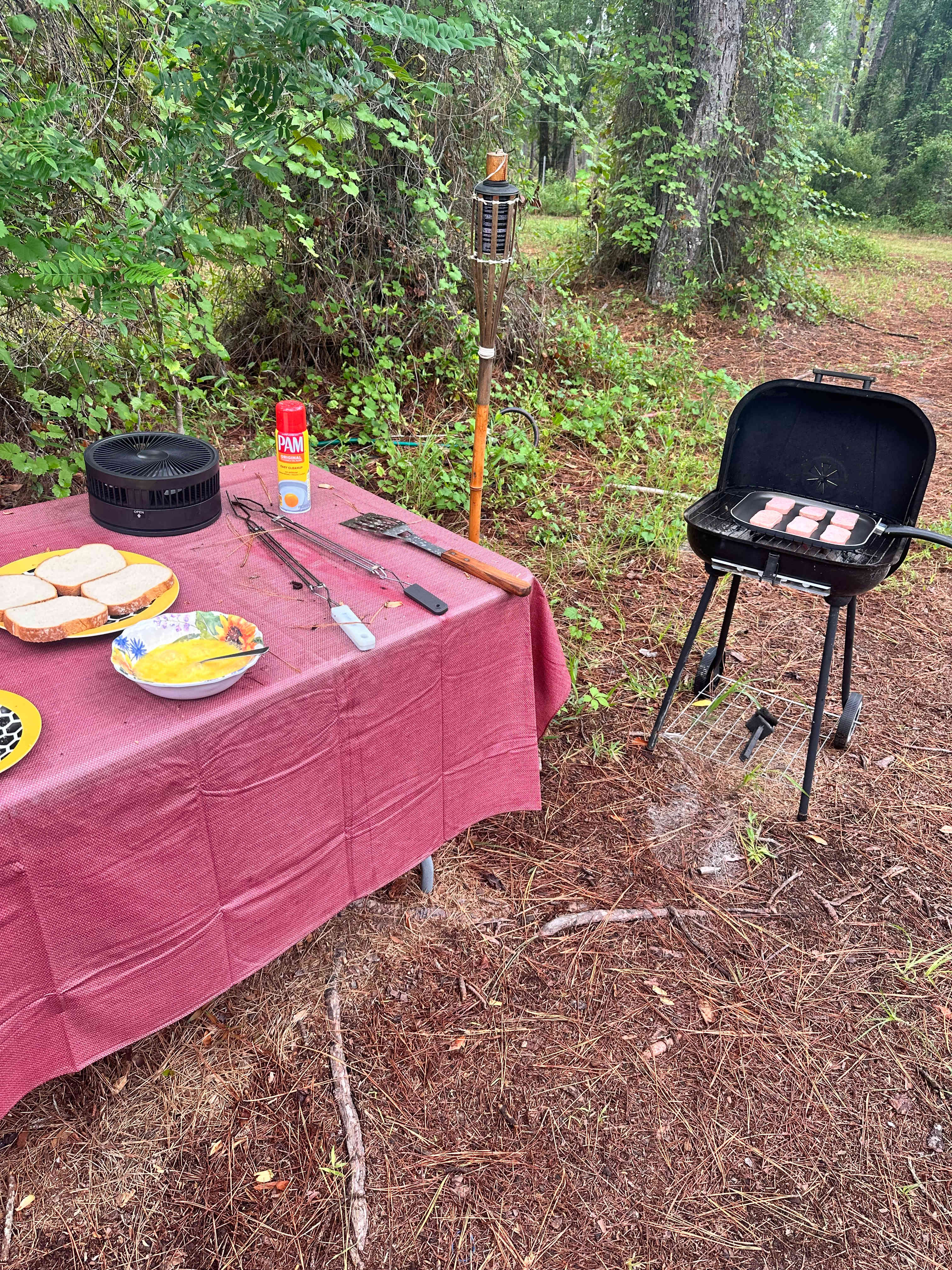 Camp site cooking