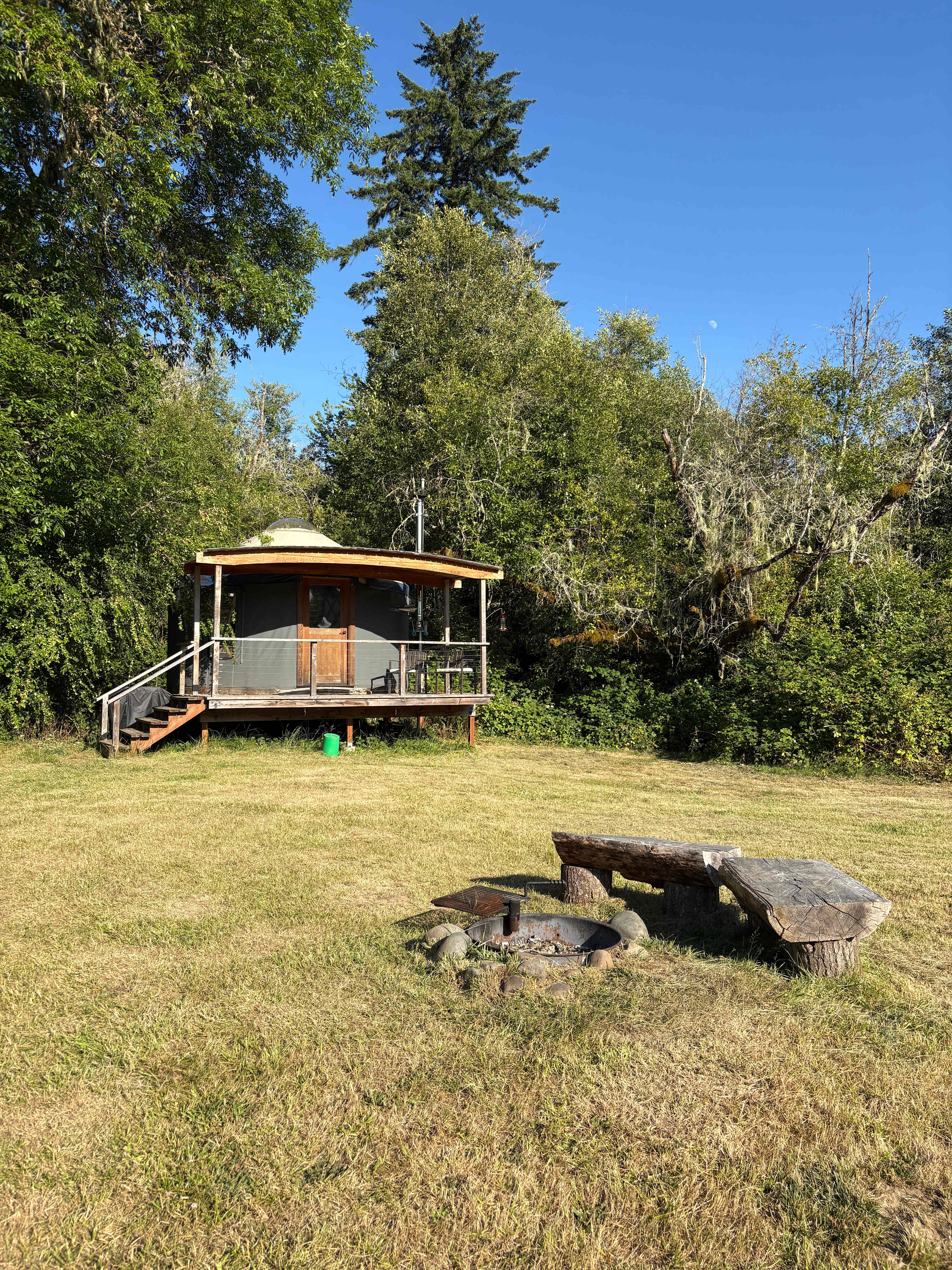 Squared Roots Farm Yurt