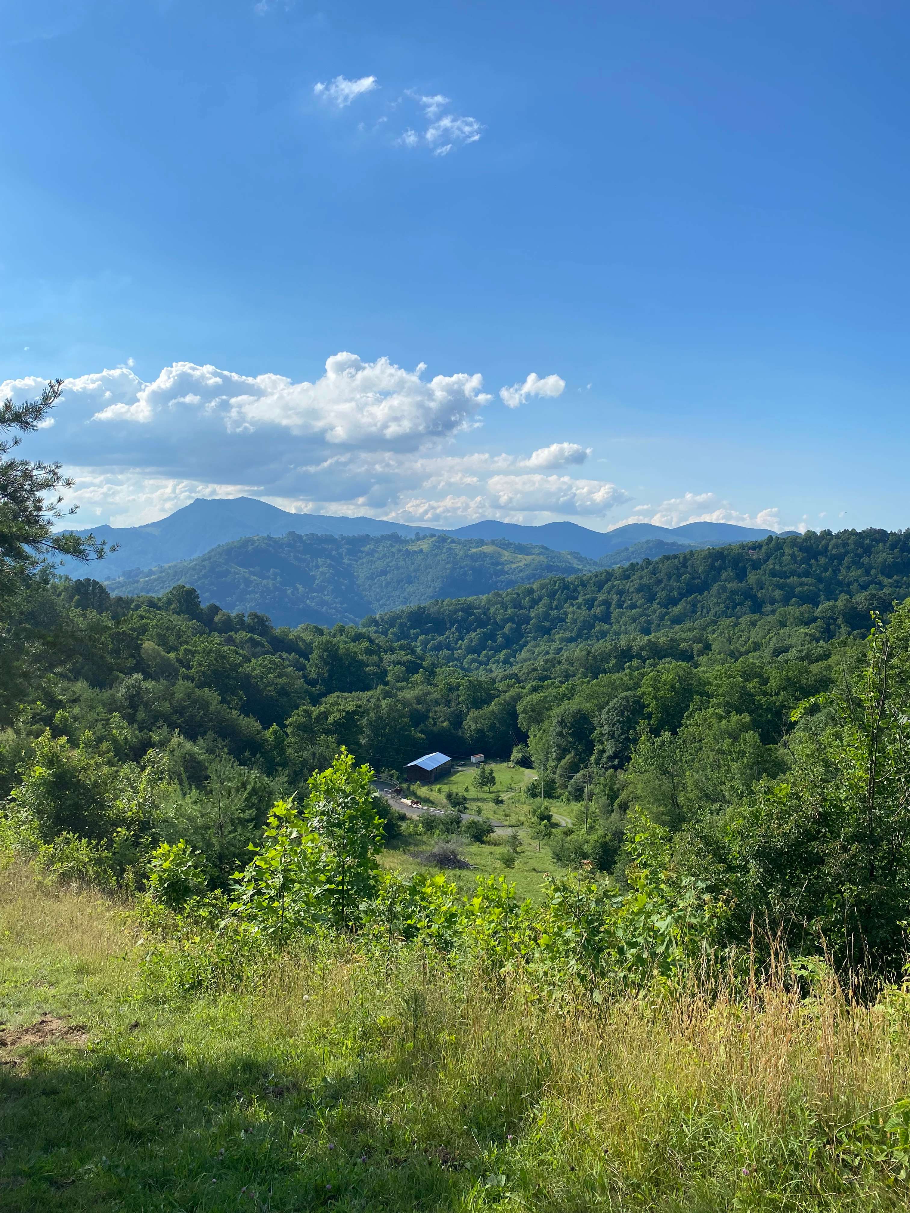 Pause || Eco-Retreat at Aramesh