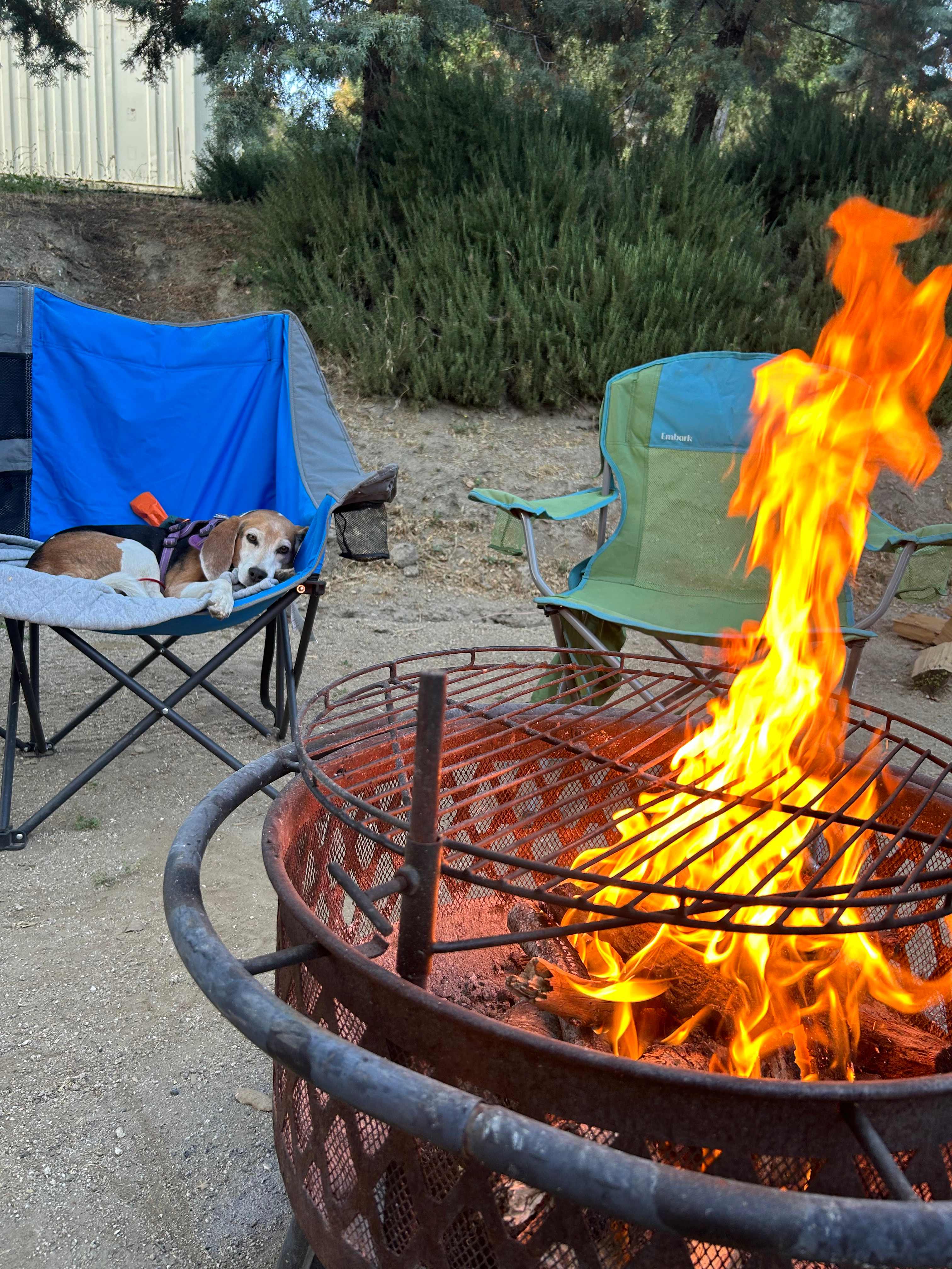 Fire pit and plenty of wood. 