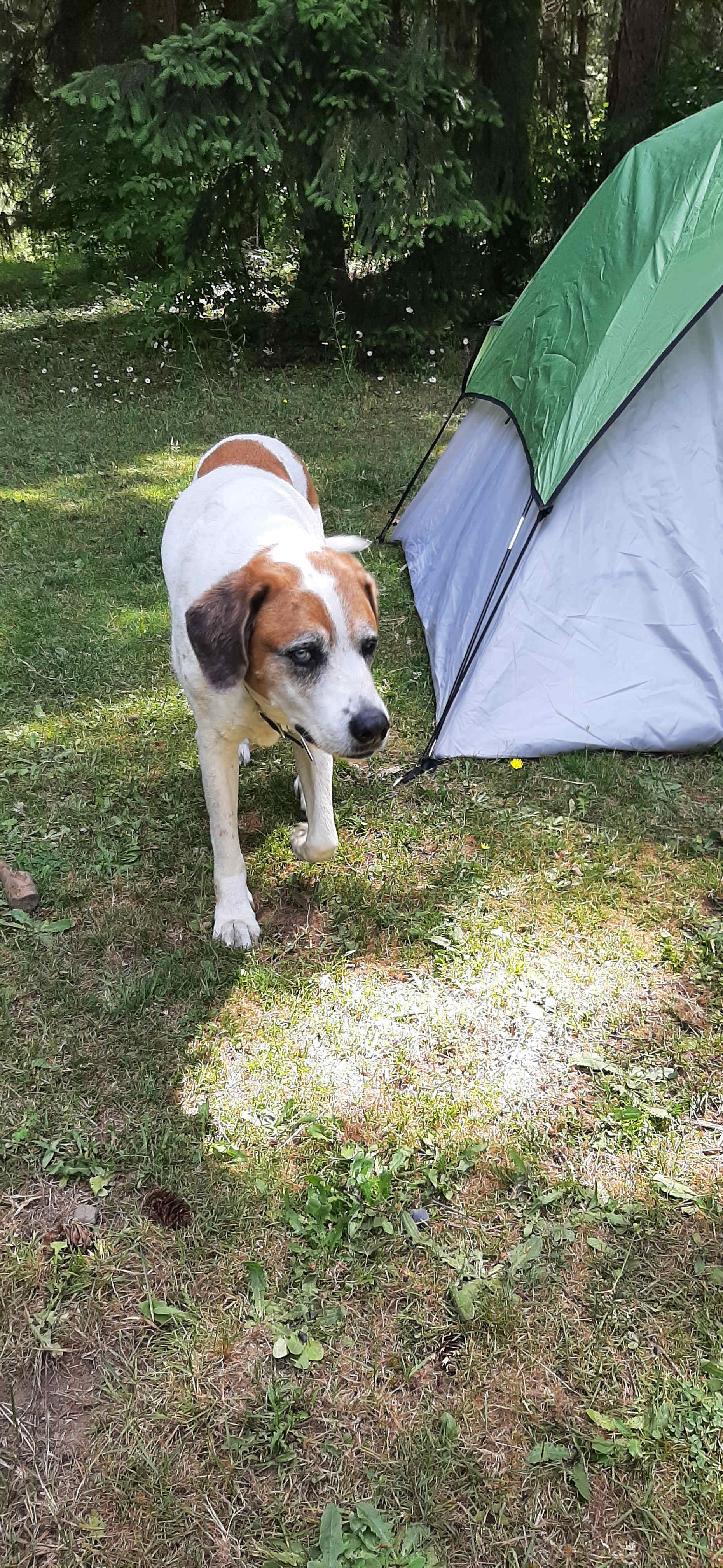 Country Refuge Close to City