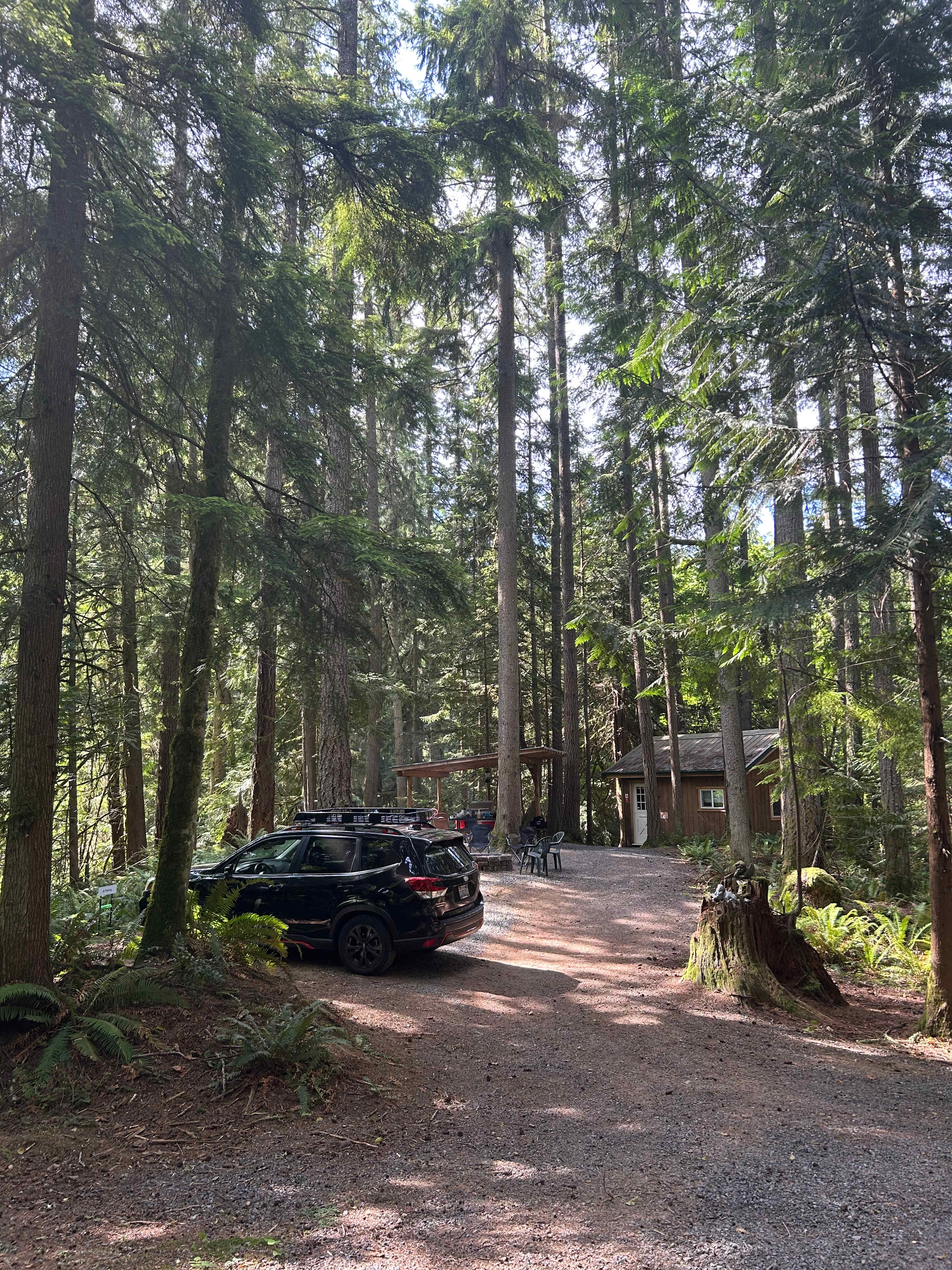 Grace E.’s Mini Forest Cabins