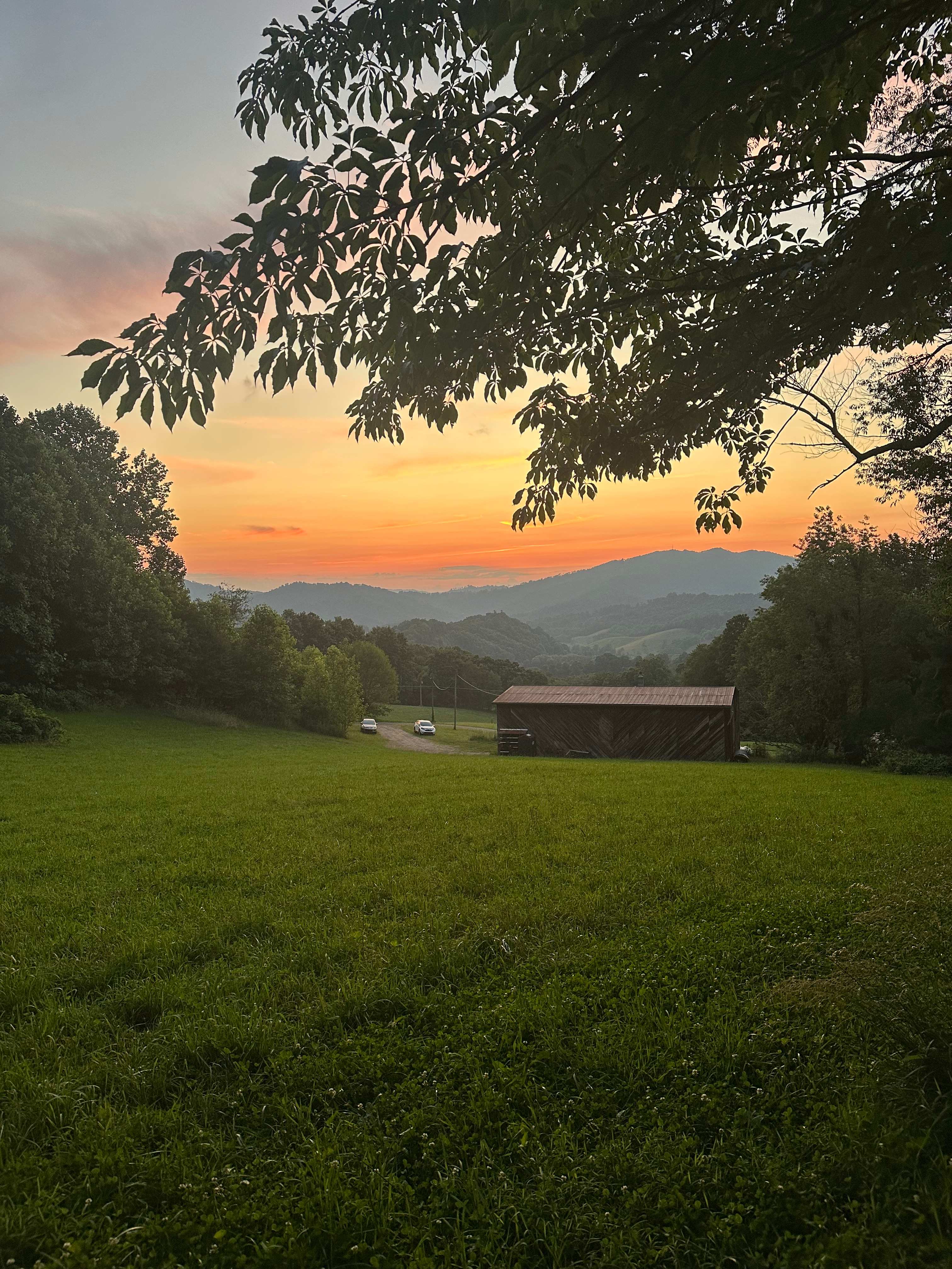 The view at sunset