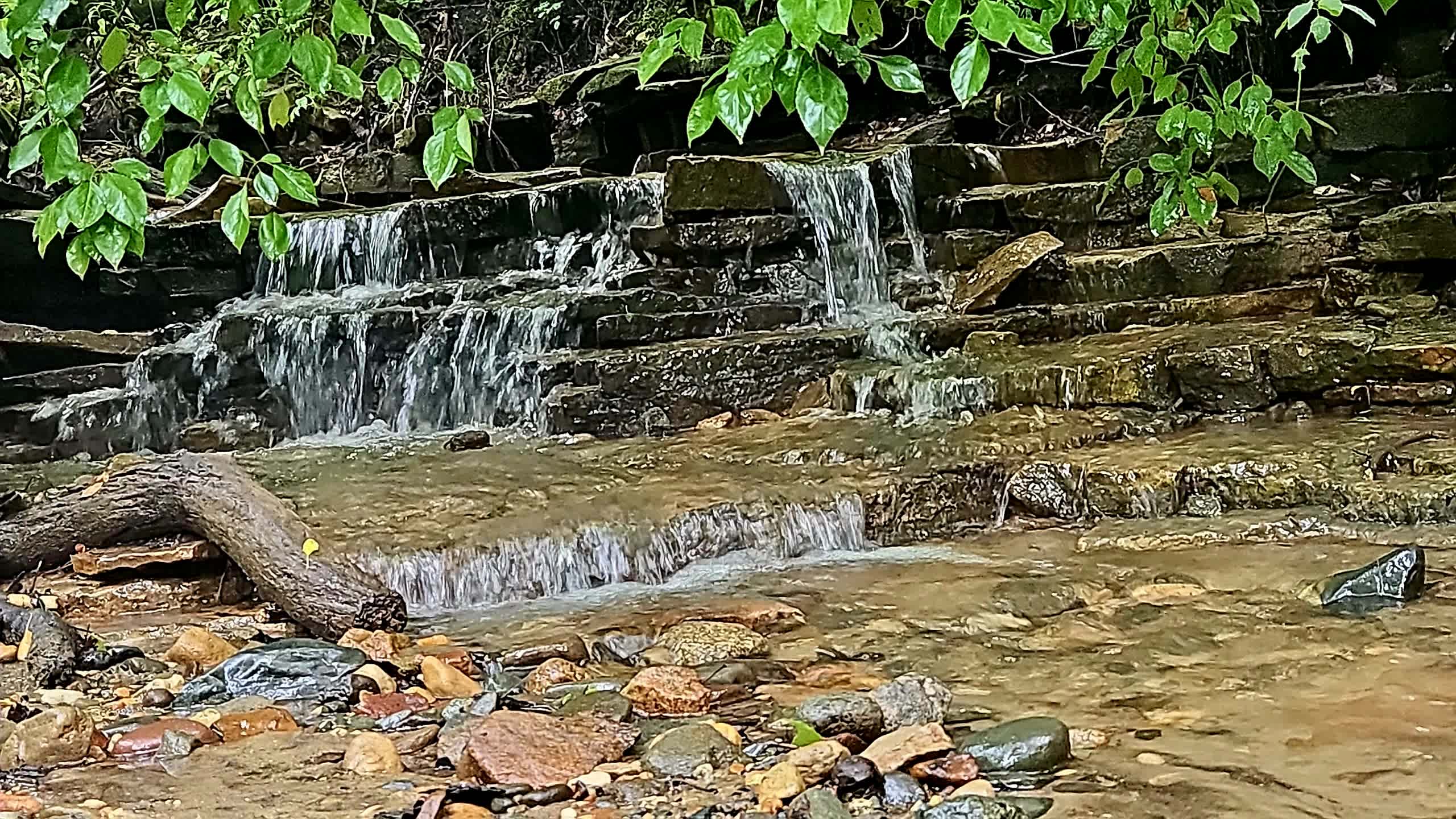 Prairie Creek Campground