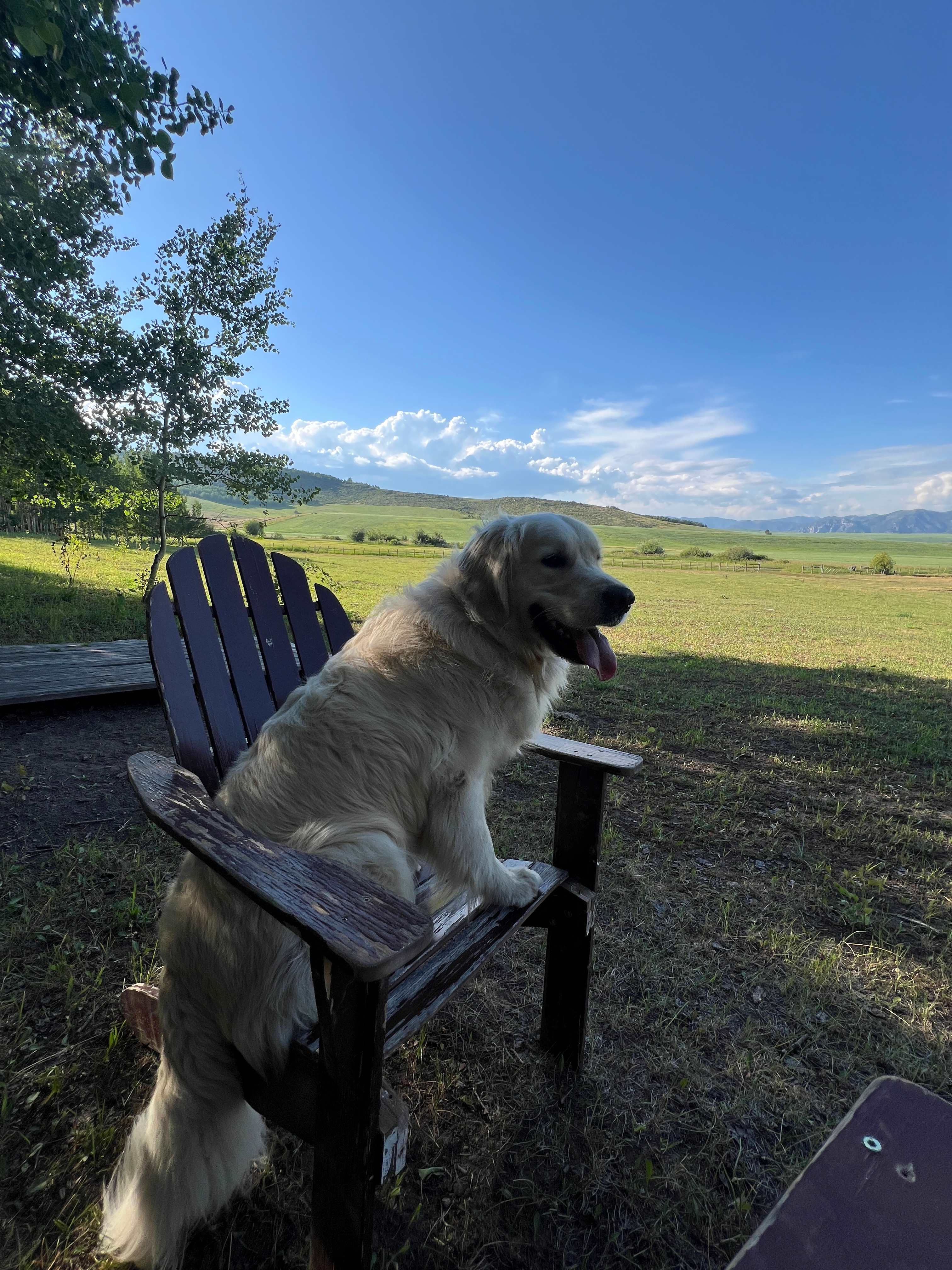 Comfy seating available