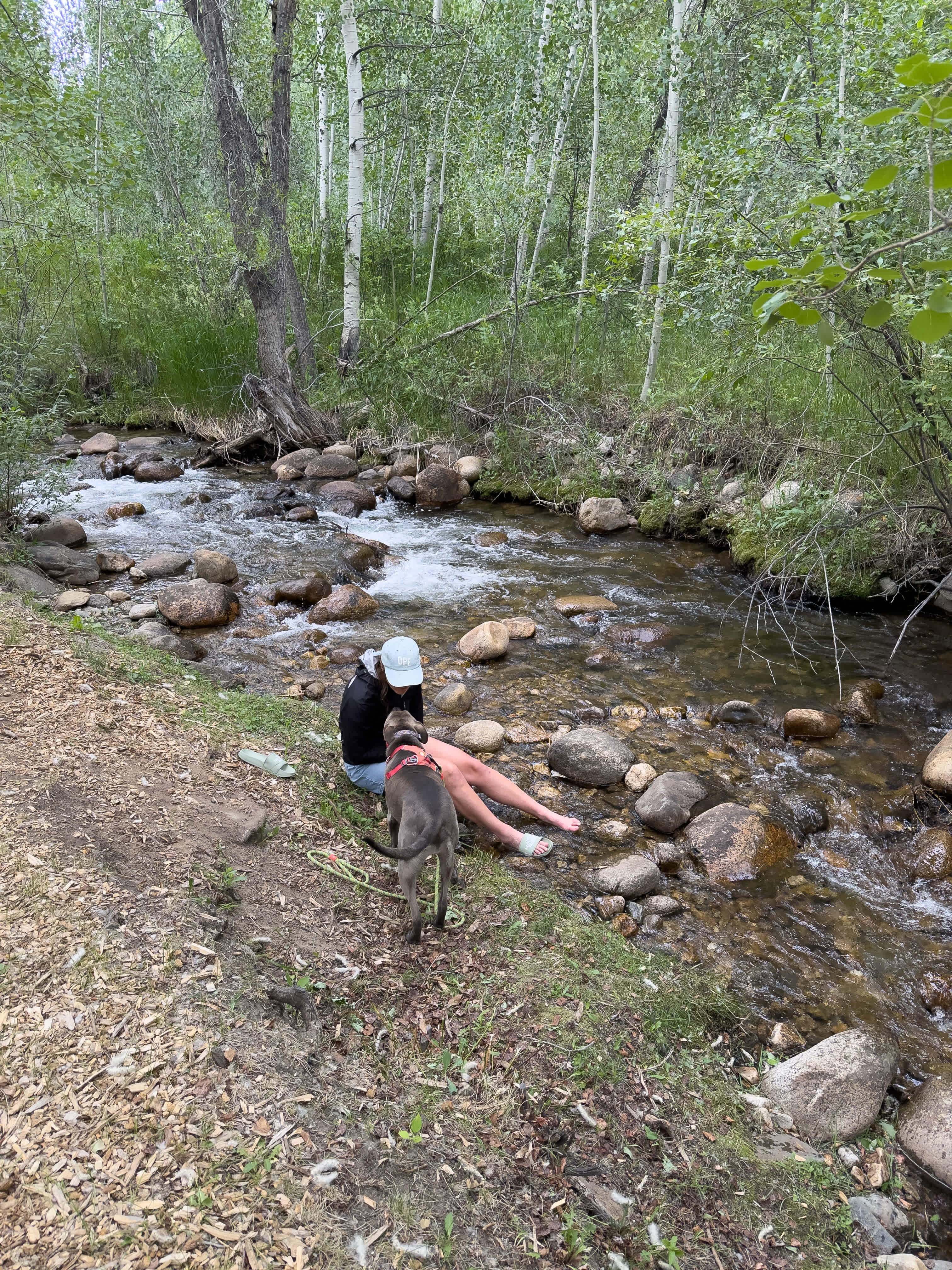 Creekside Chalets