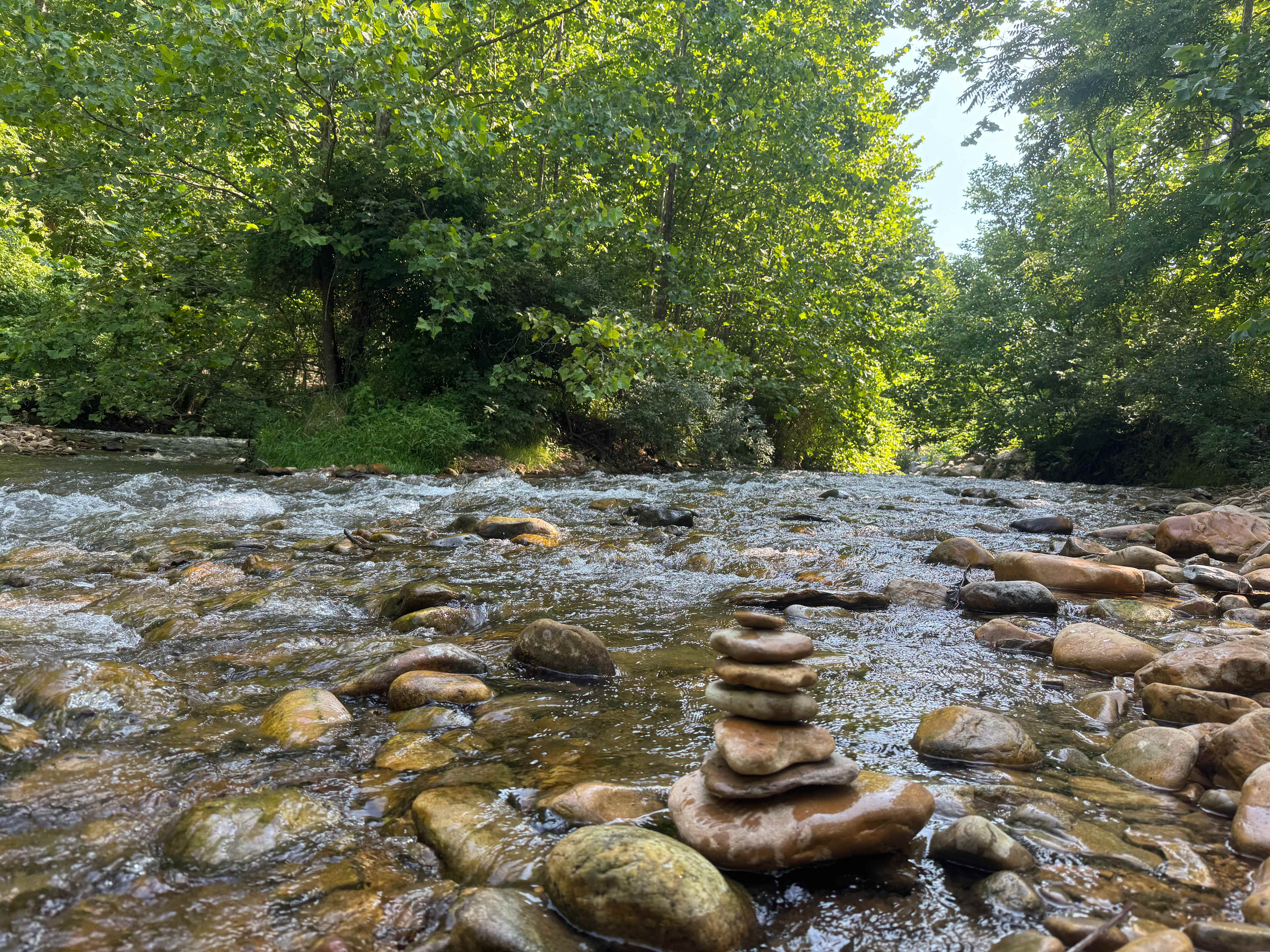 Swedish Lilac Campground & Events