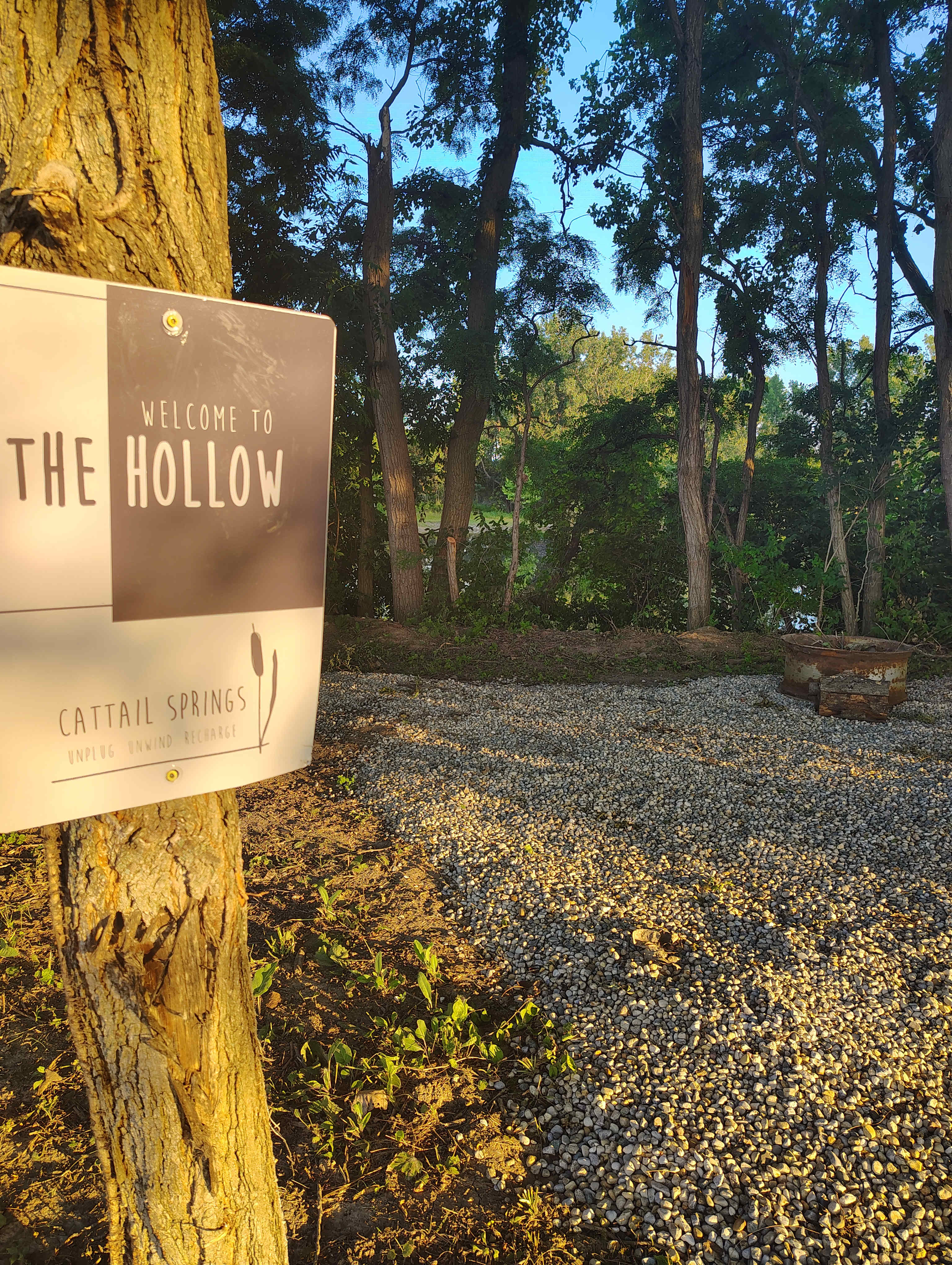 The Hollow