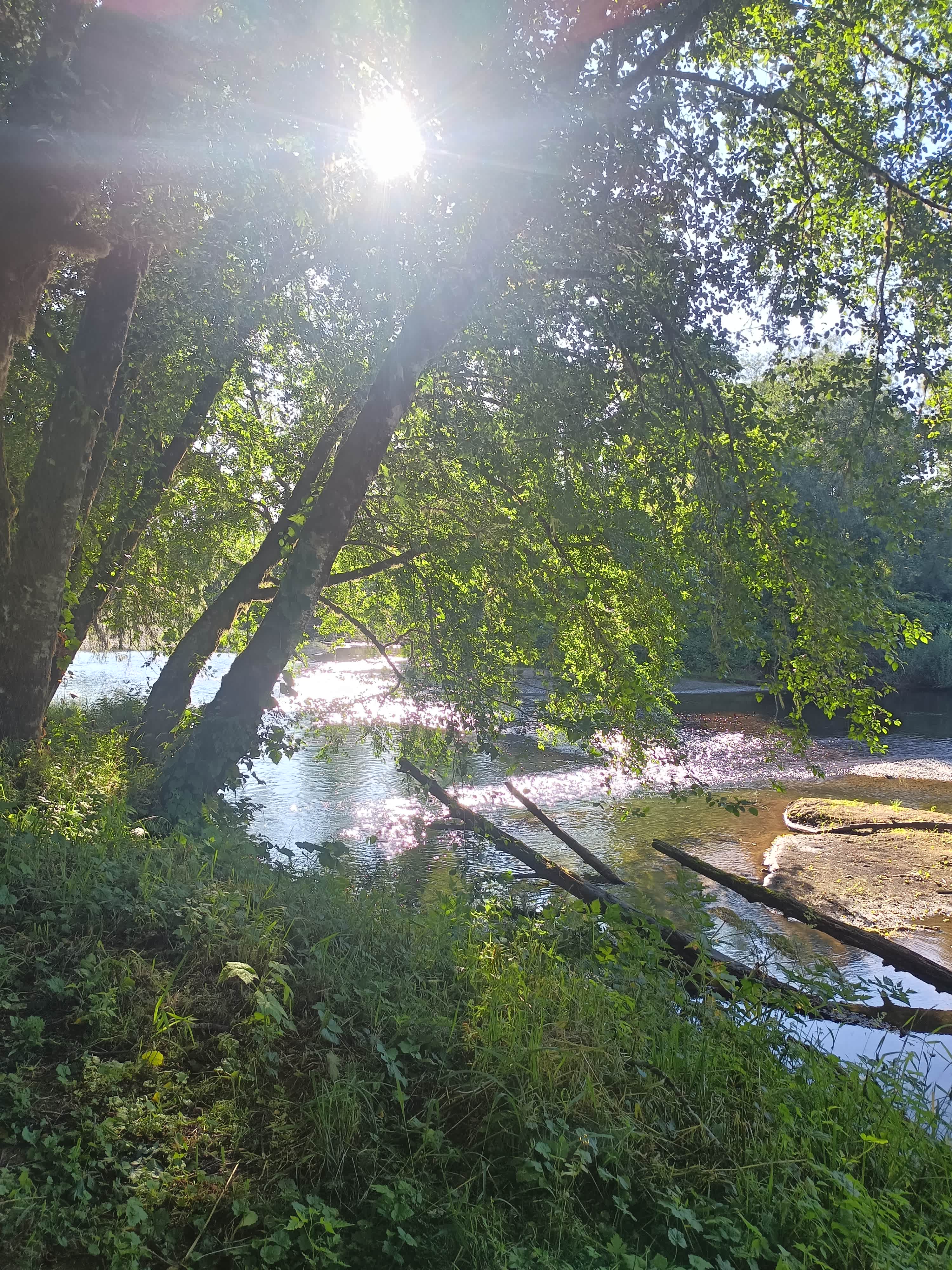 Riverfront fun