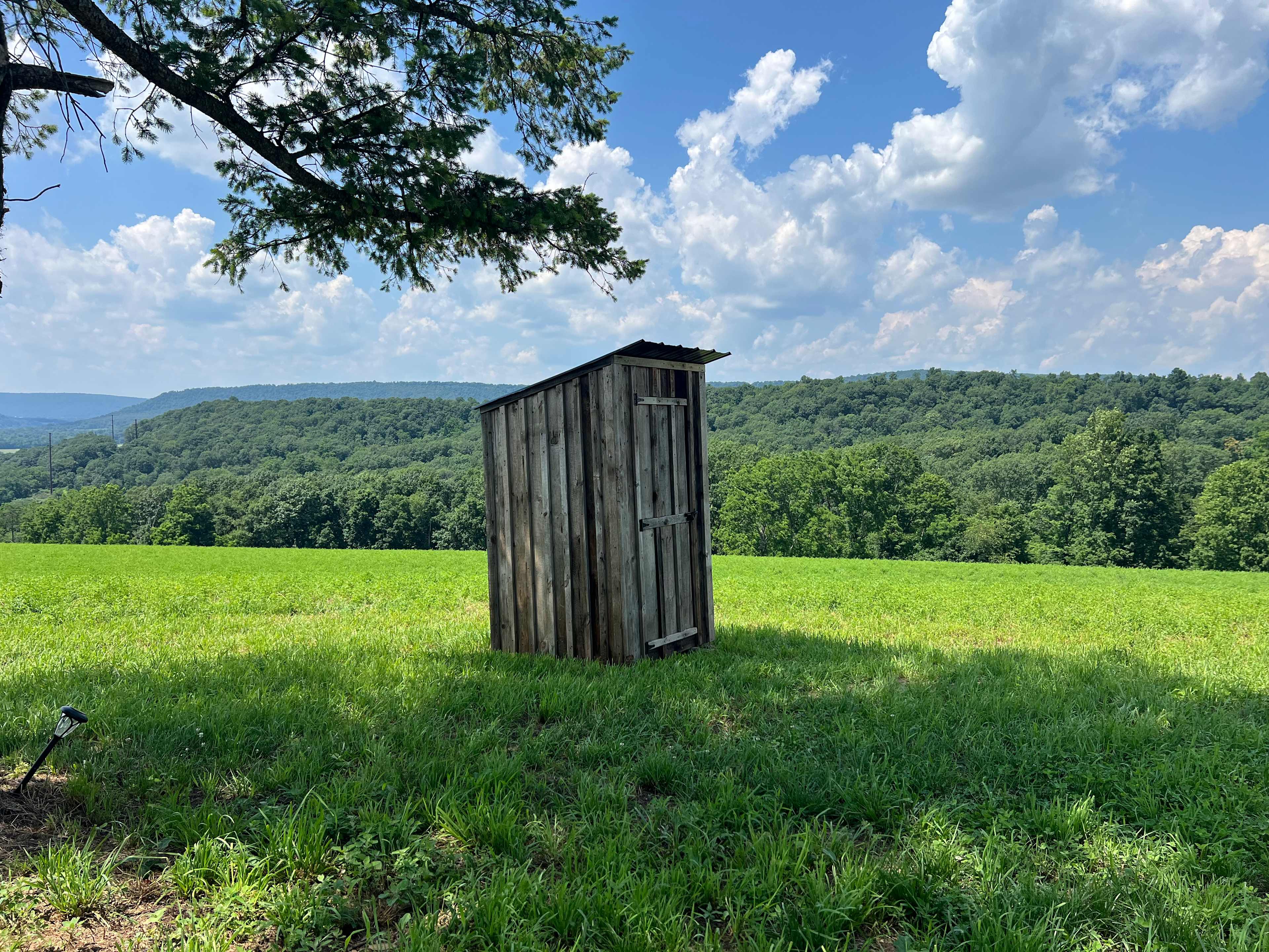 Cutest Woodshed